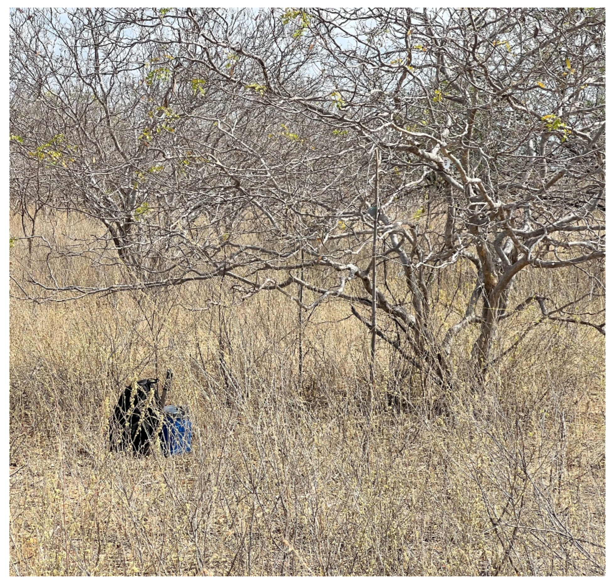 Preprints 160318 g007