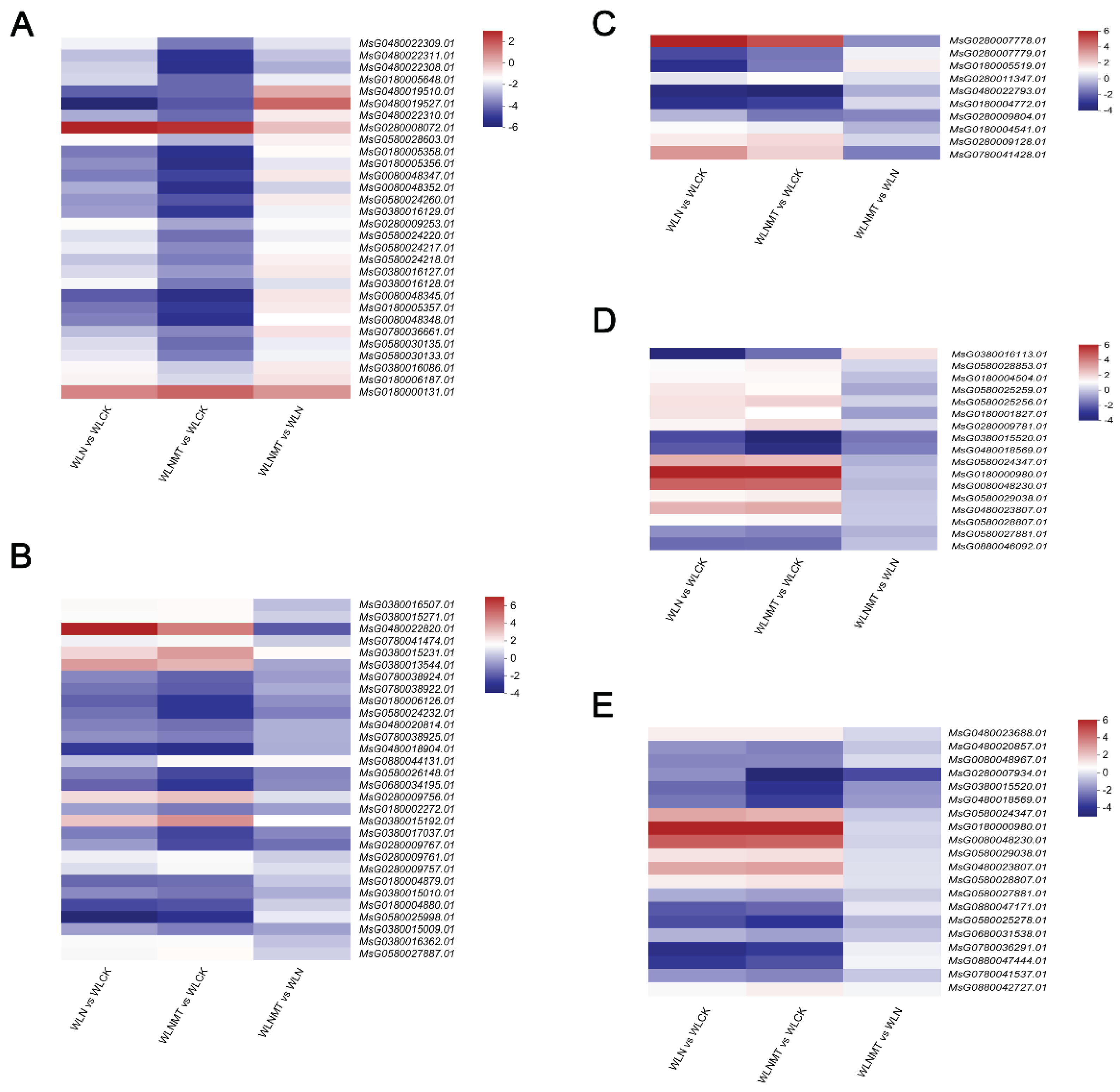 Preprints 102531 g006