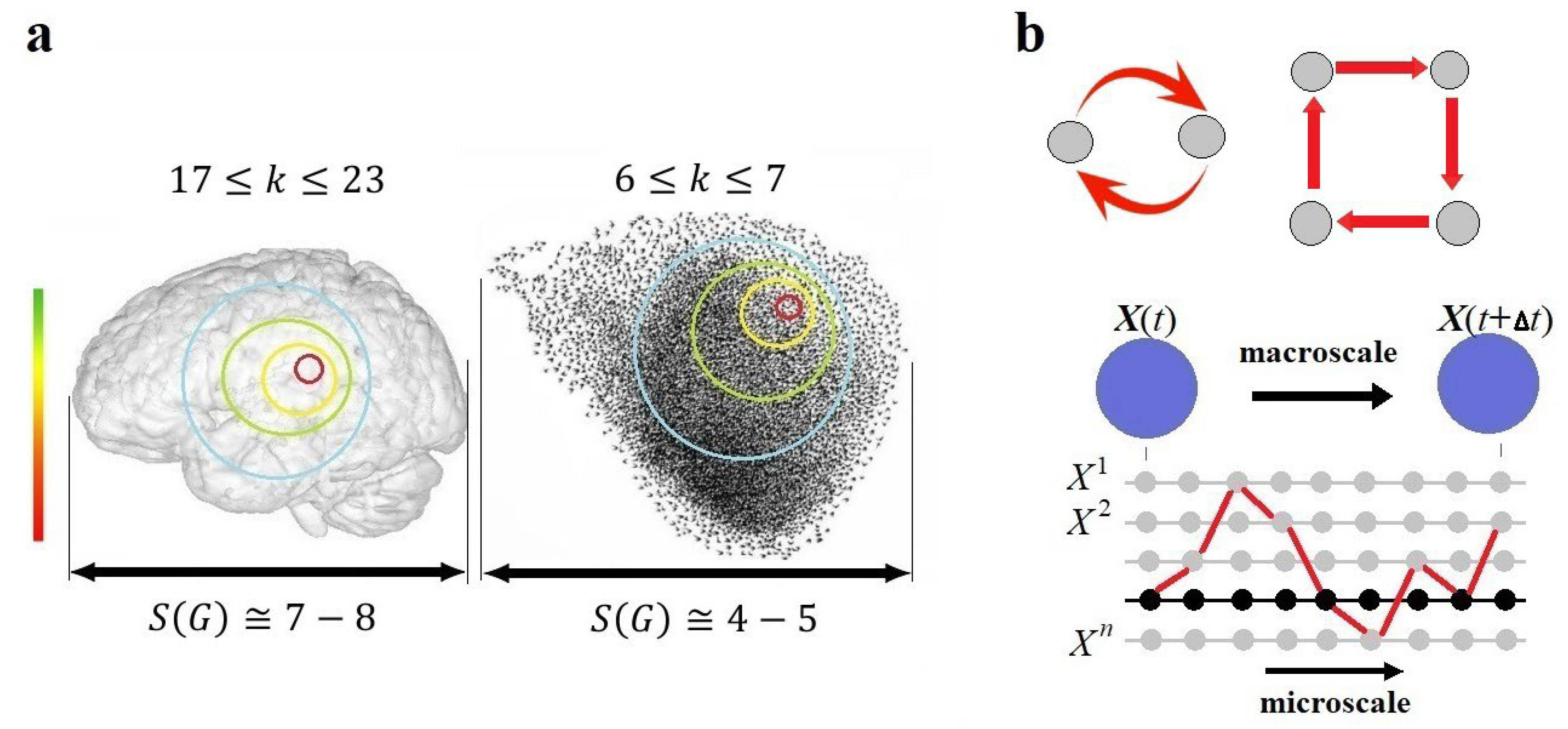 Preprints 175426 g007