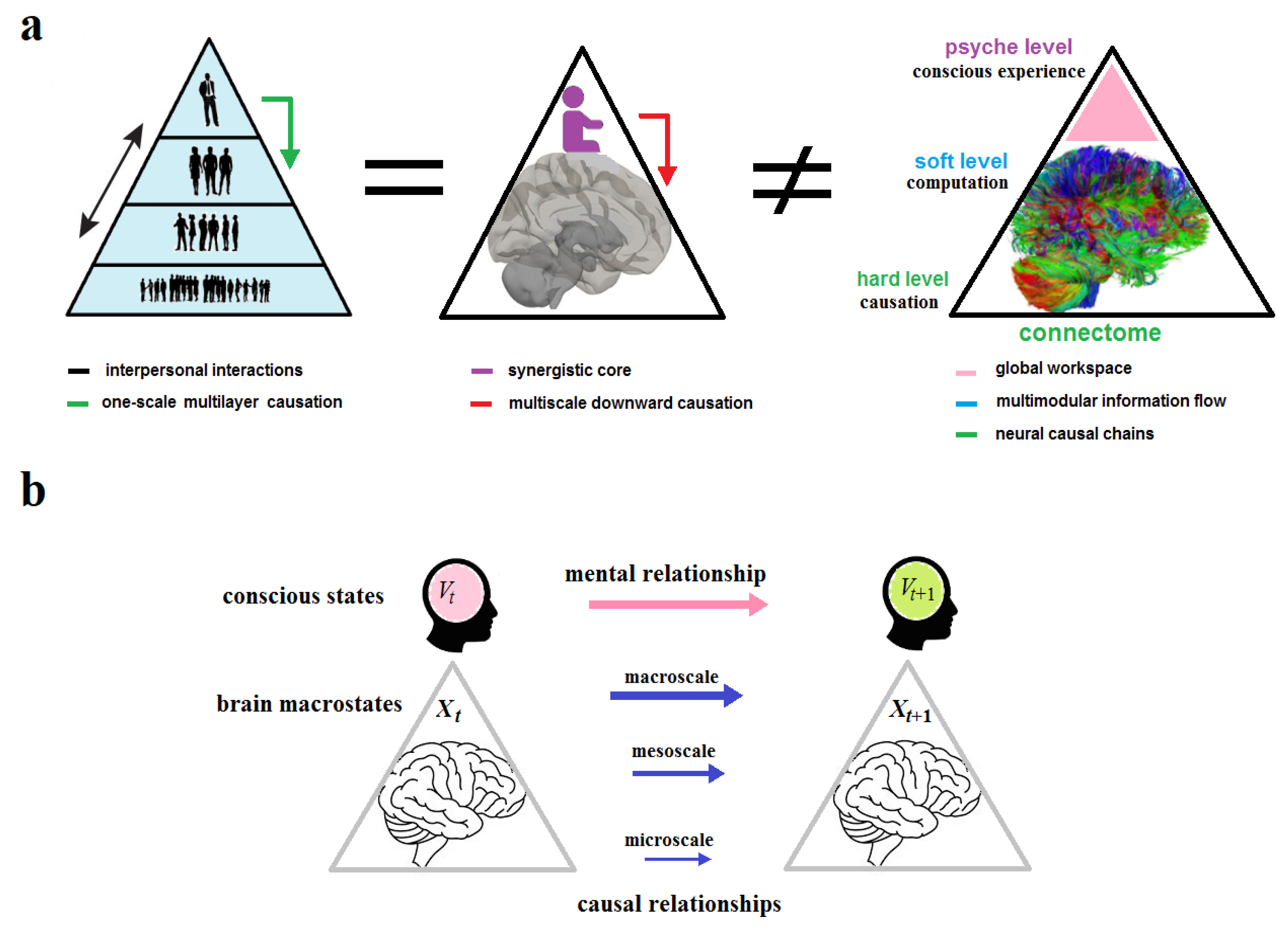 Preprints 175426 g010