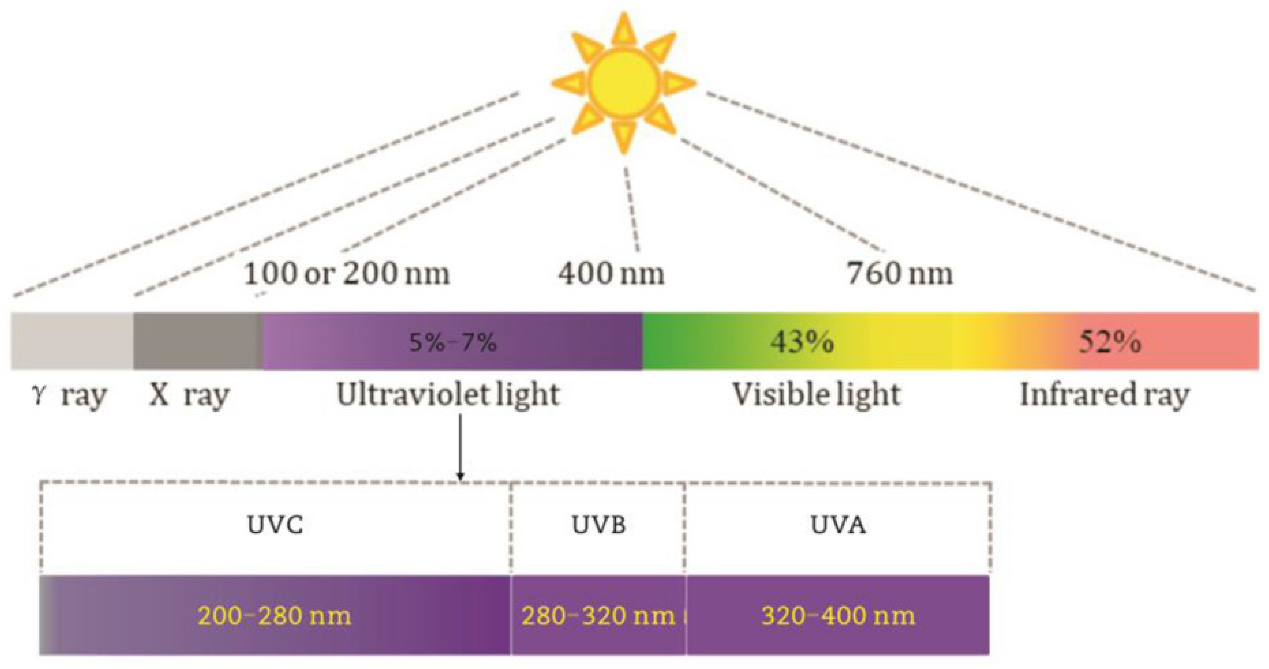 Preprints 150776 g004