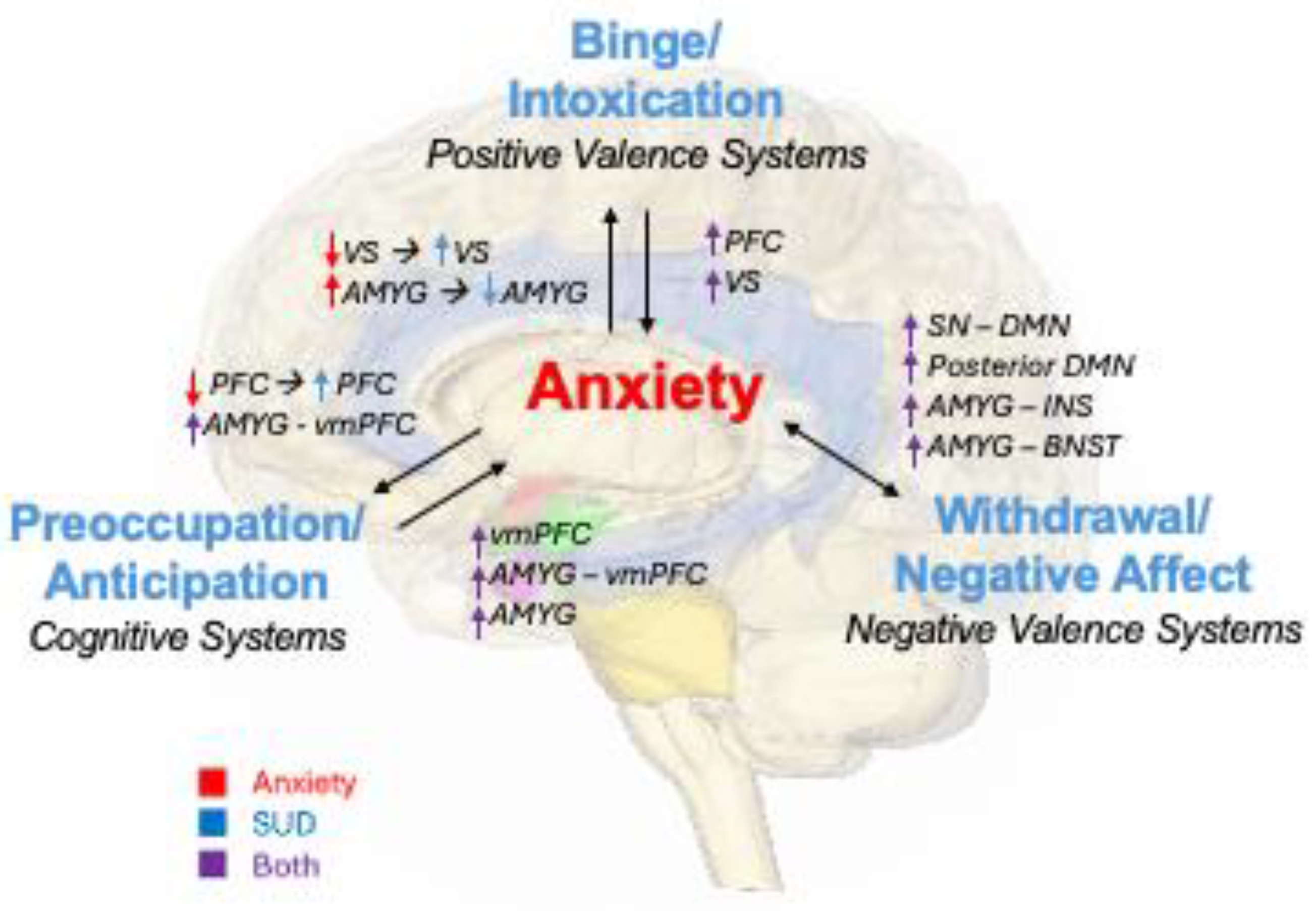 Preprints 140479 g001
