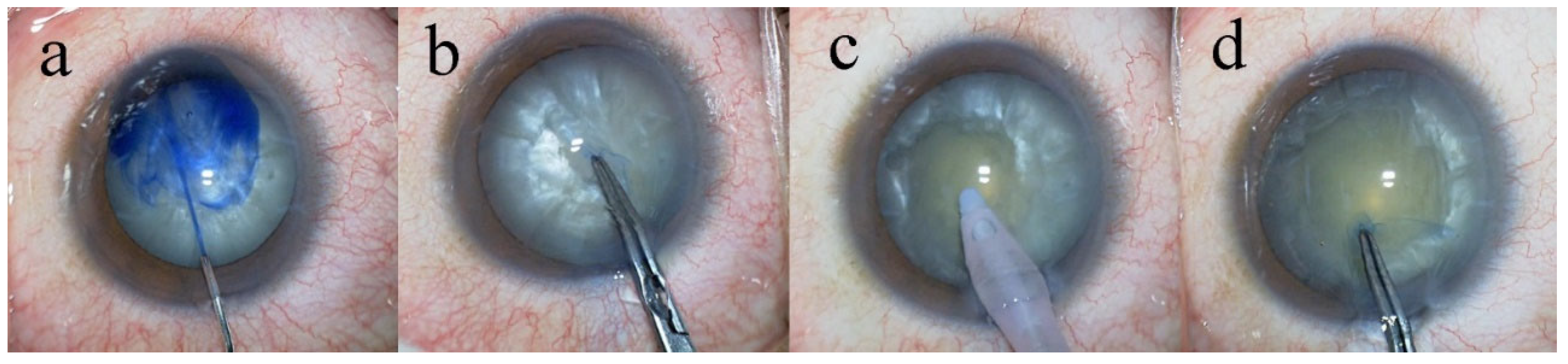Preprints 192366 g001