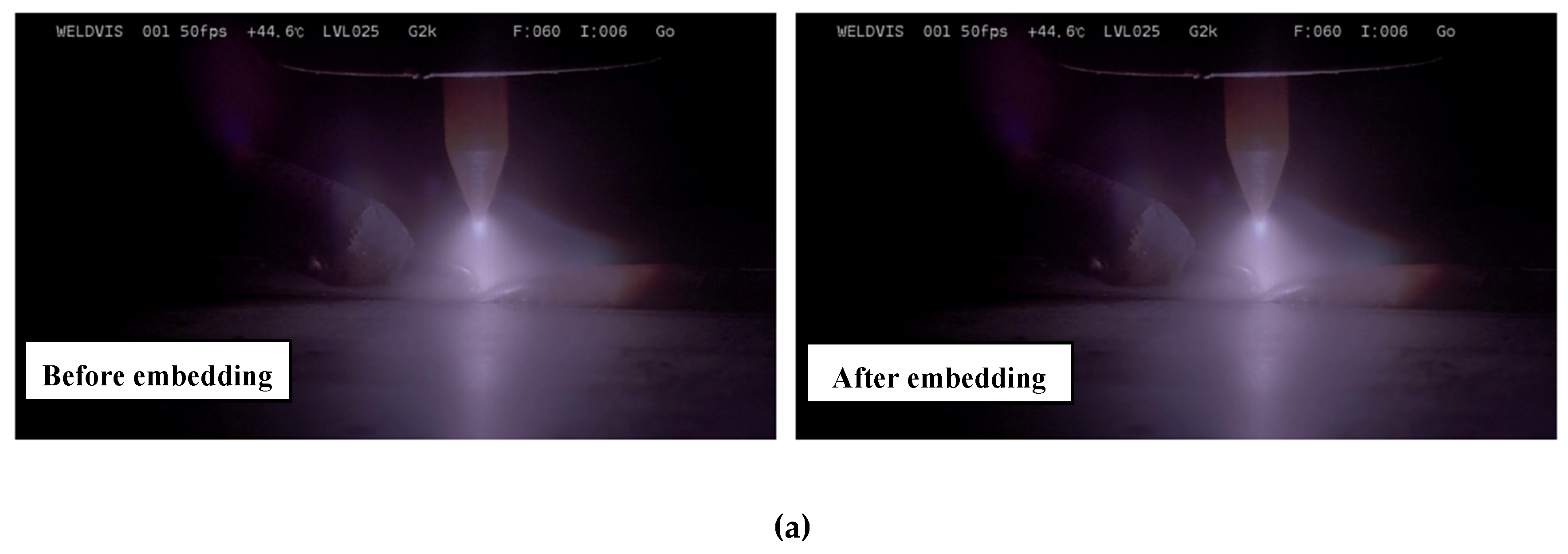 Preprints 170105 g011a
