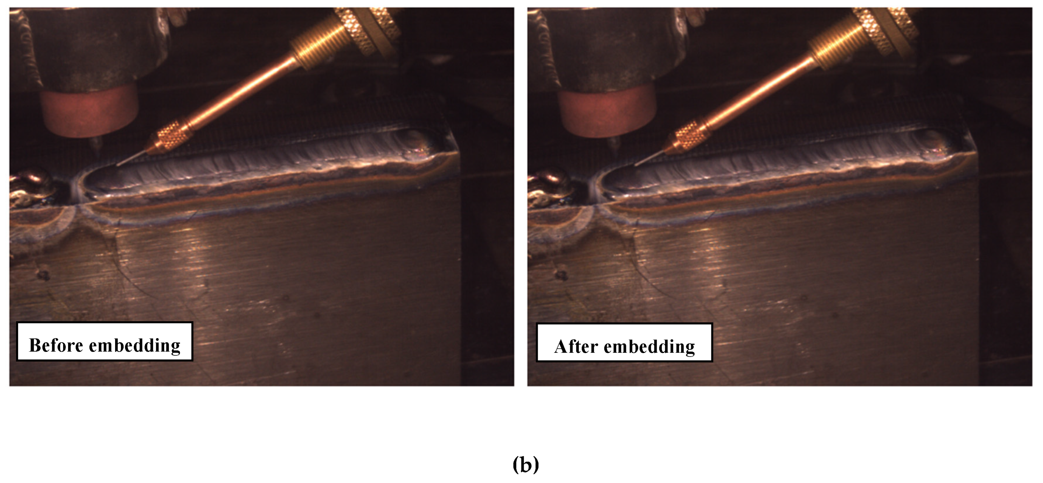 Preprints 170105 g011b