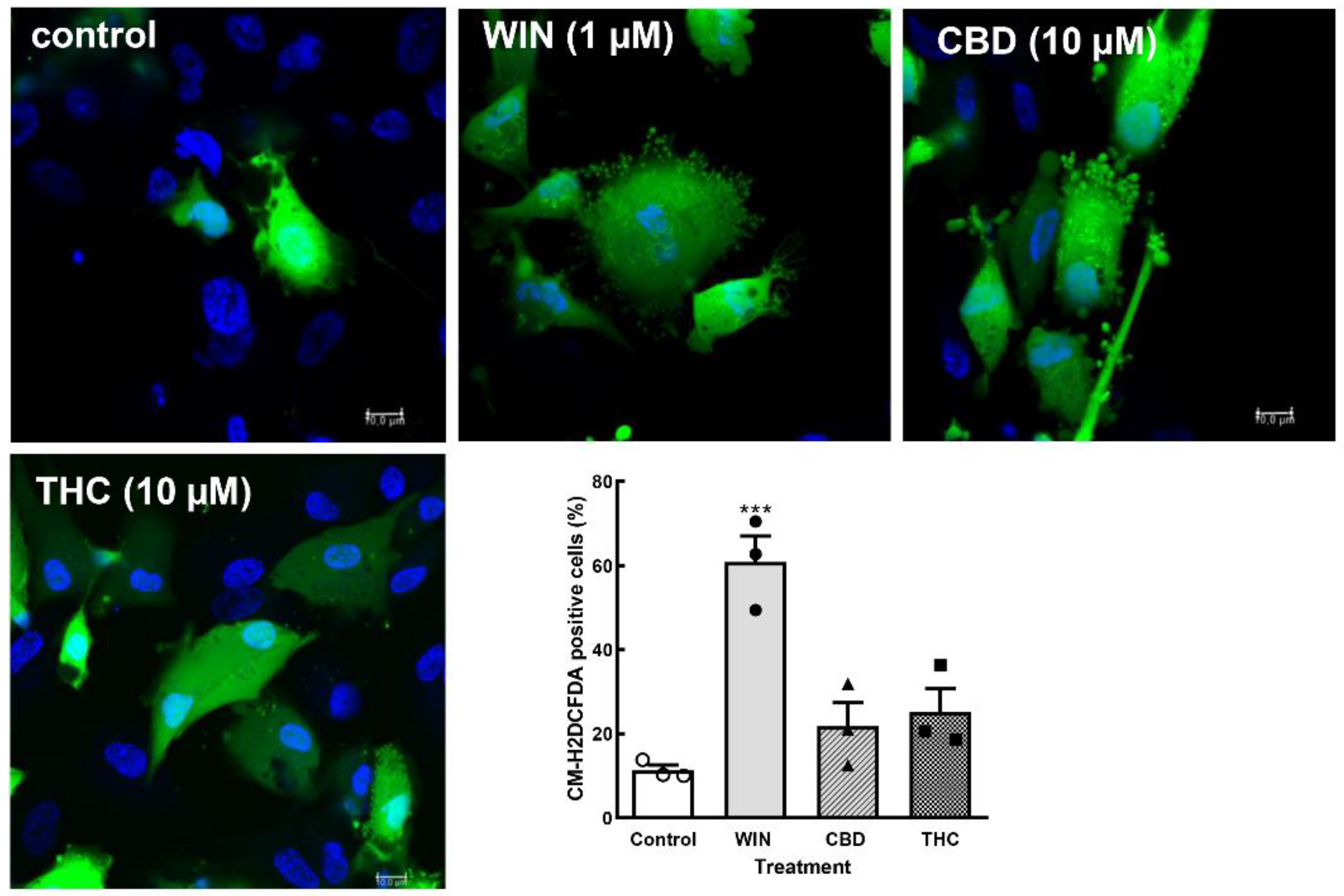 Preprints 143389 g005