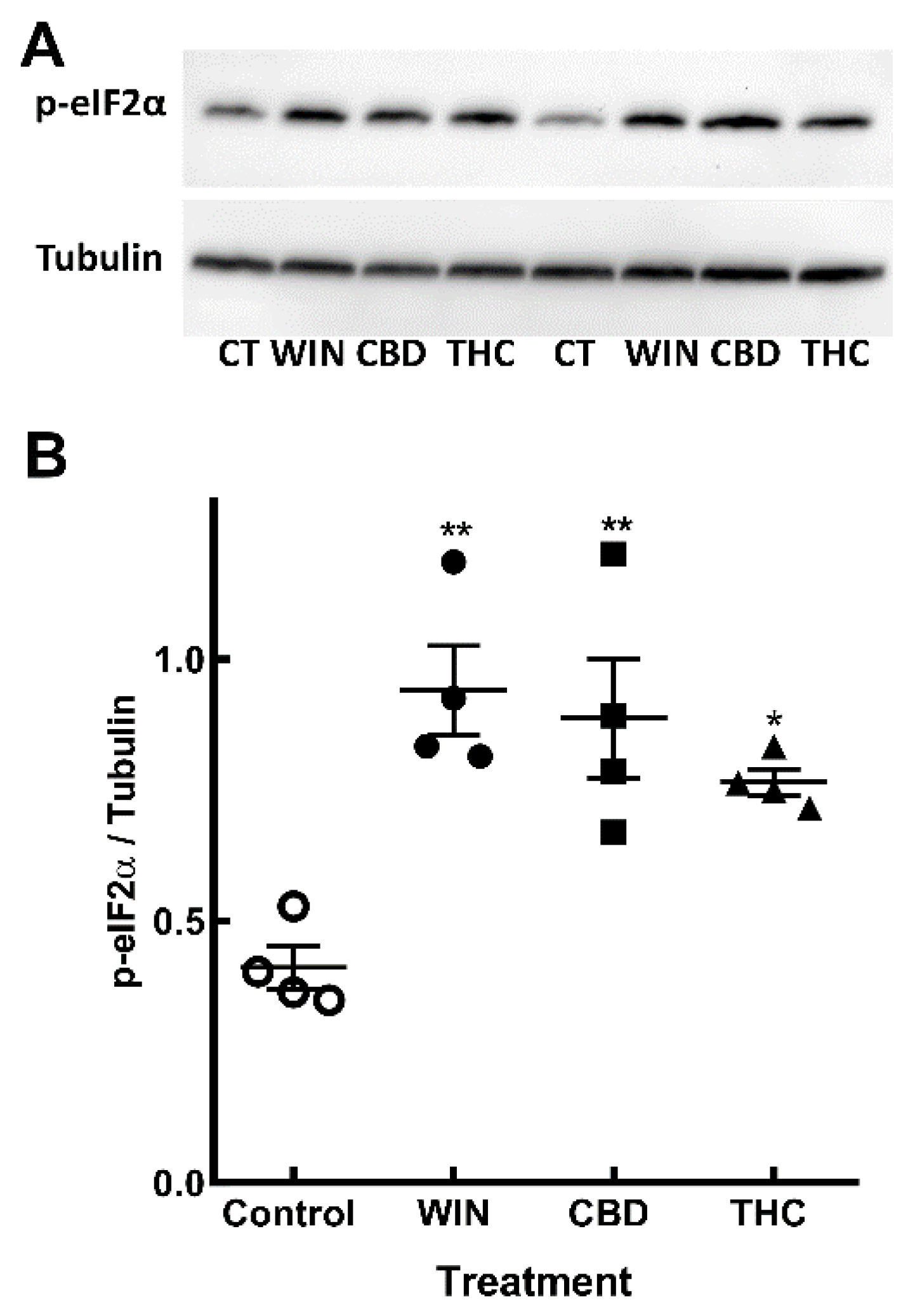 Preprints 143389 g006