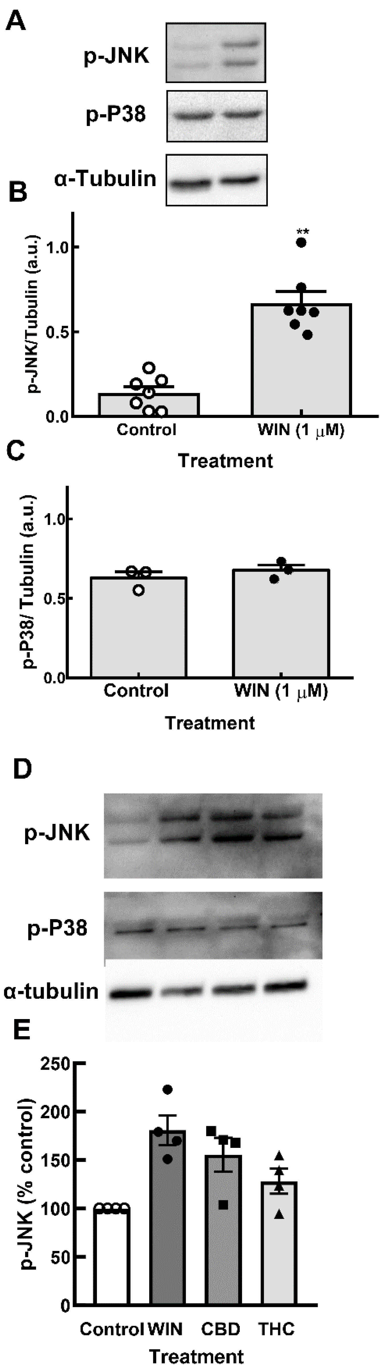 Preprints 143389 g007