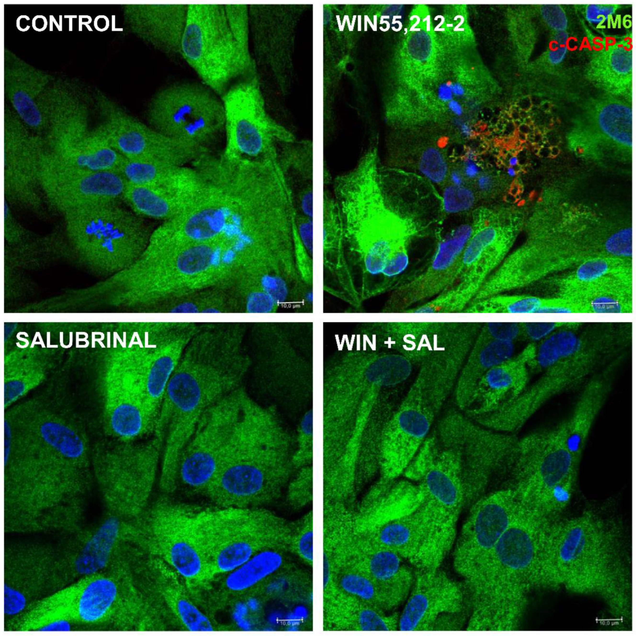 Preprints 143389 g010