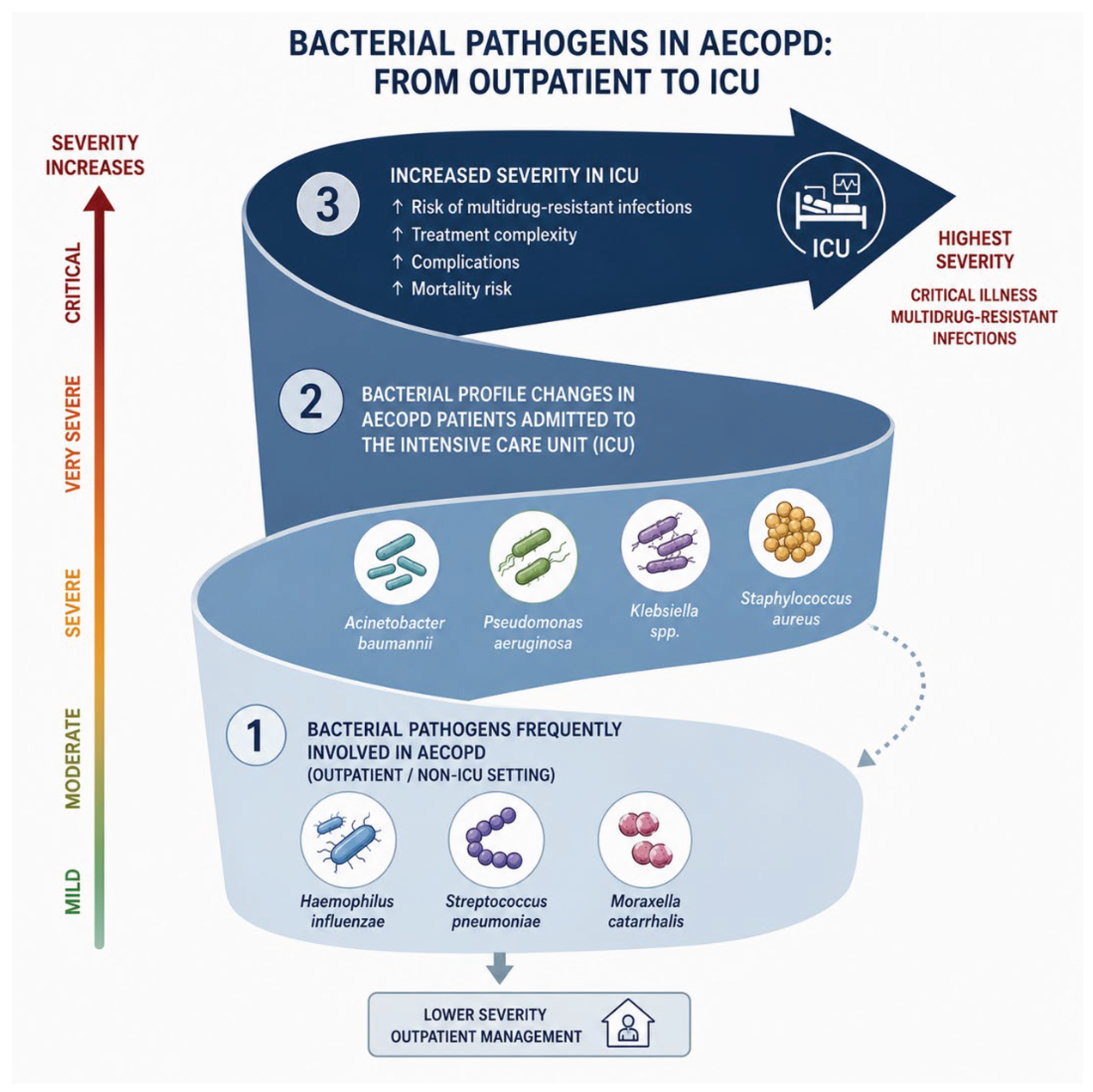 Preprints 226933 g002 Preprints 226933 g002