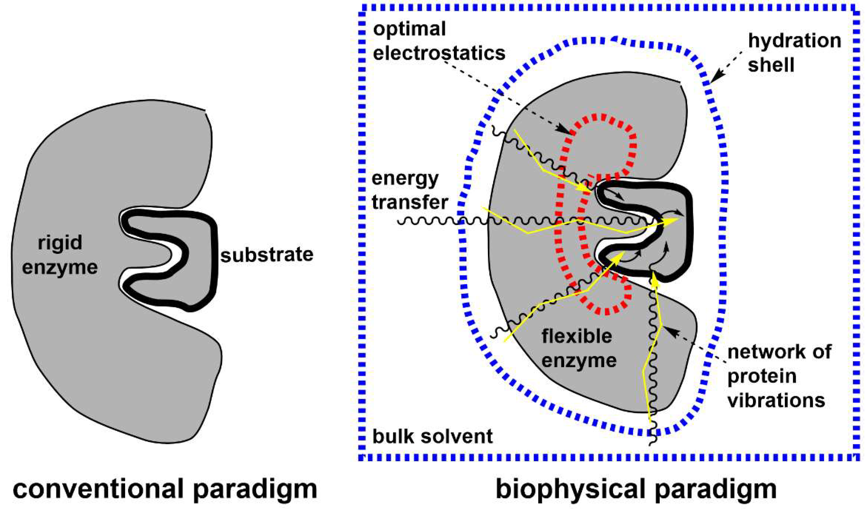 Preprints 143865 g001