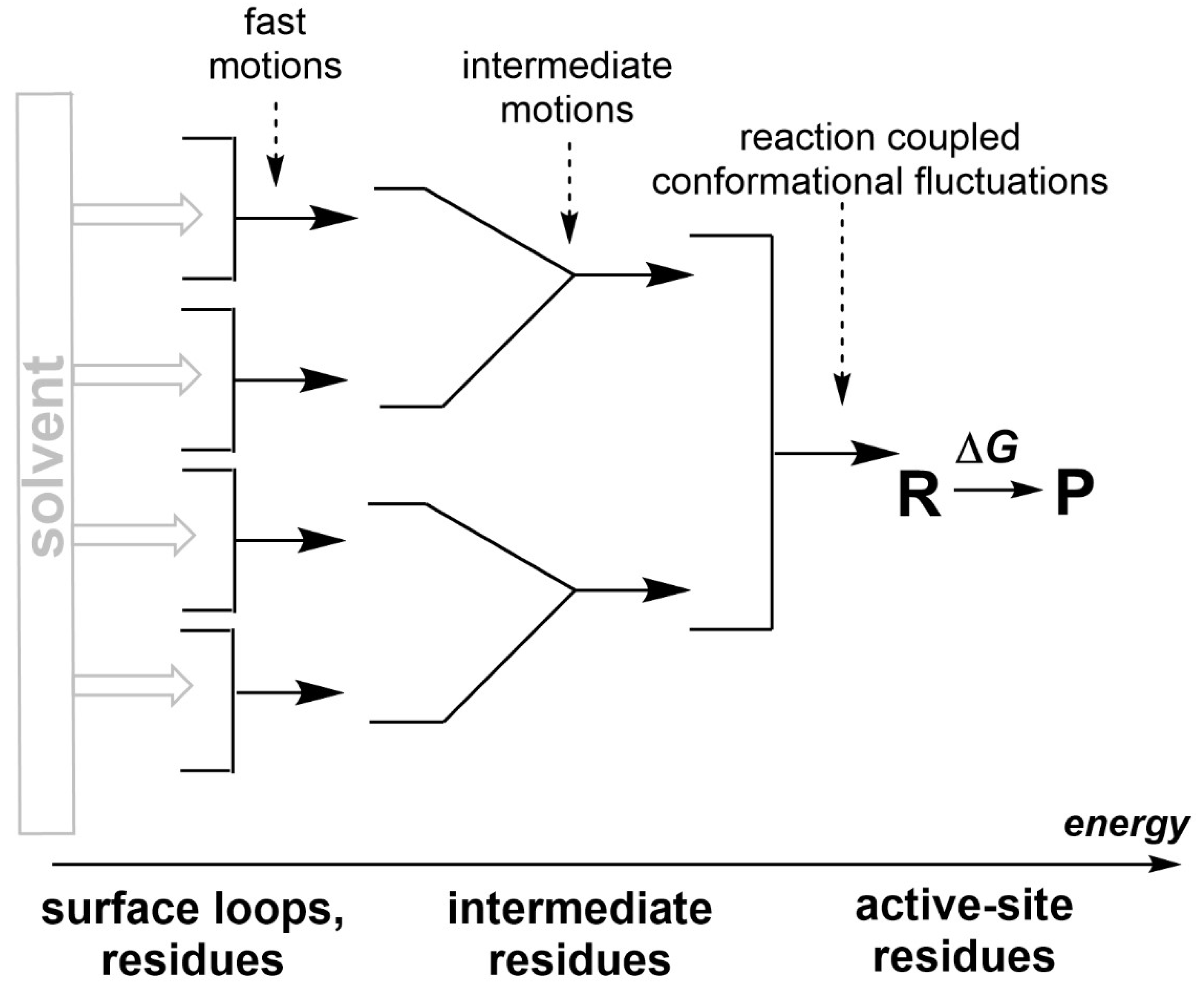 Preprints 143865 g003