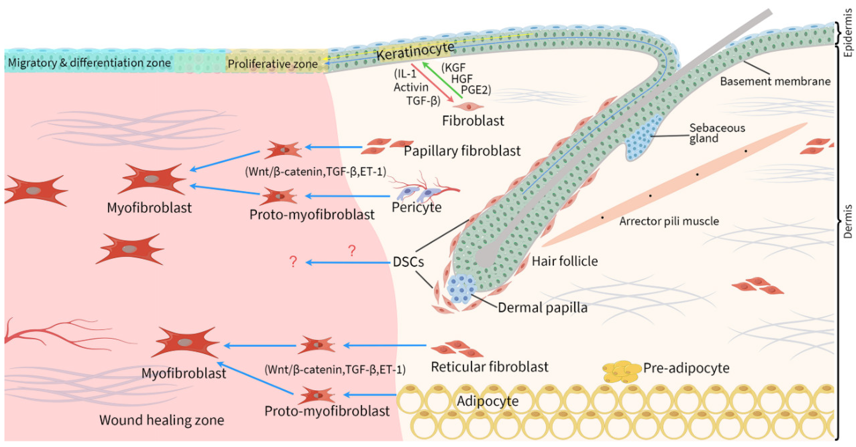 Preprints 108252 g001