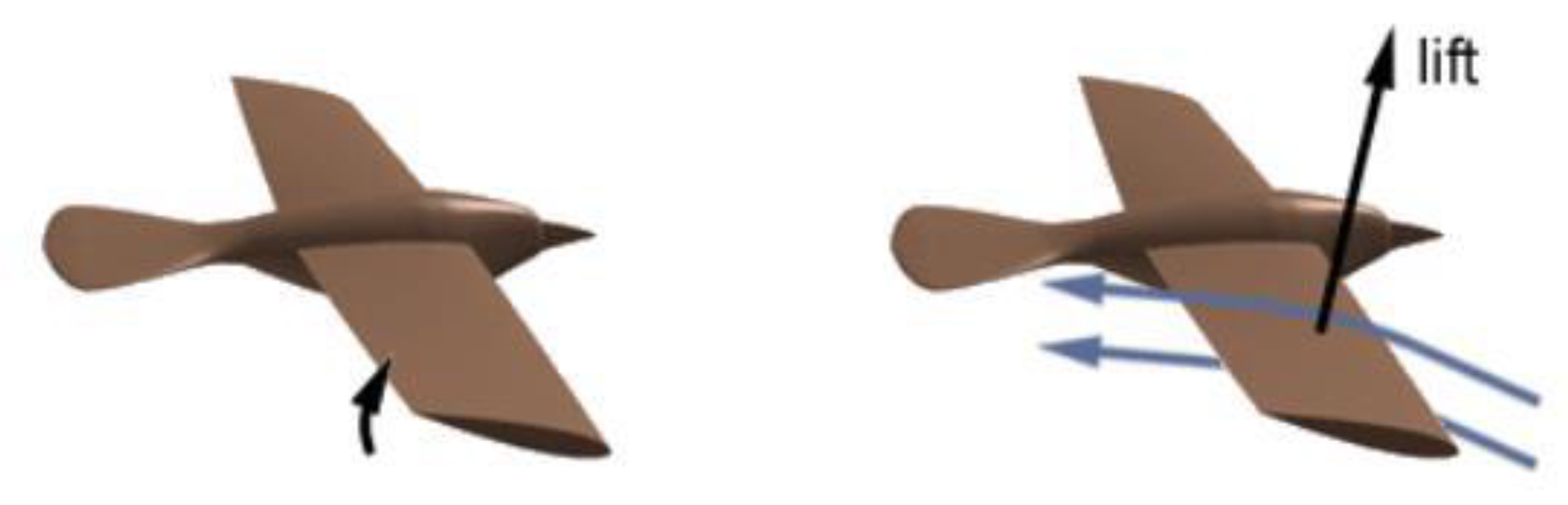 Preprints 168998 g001