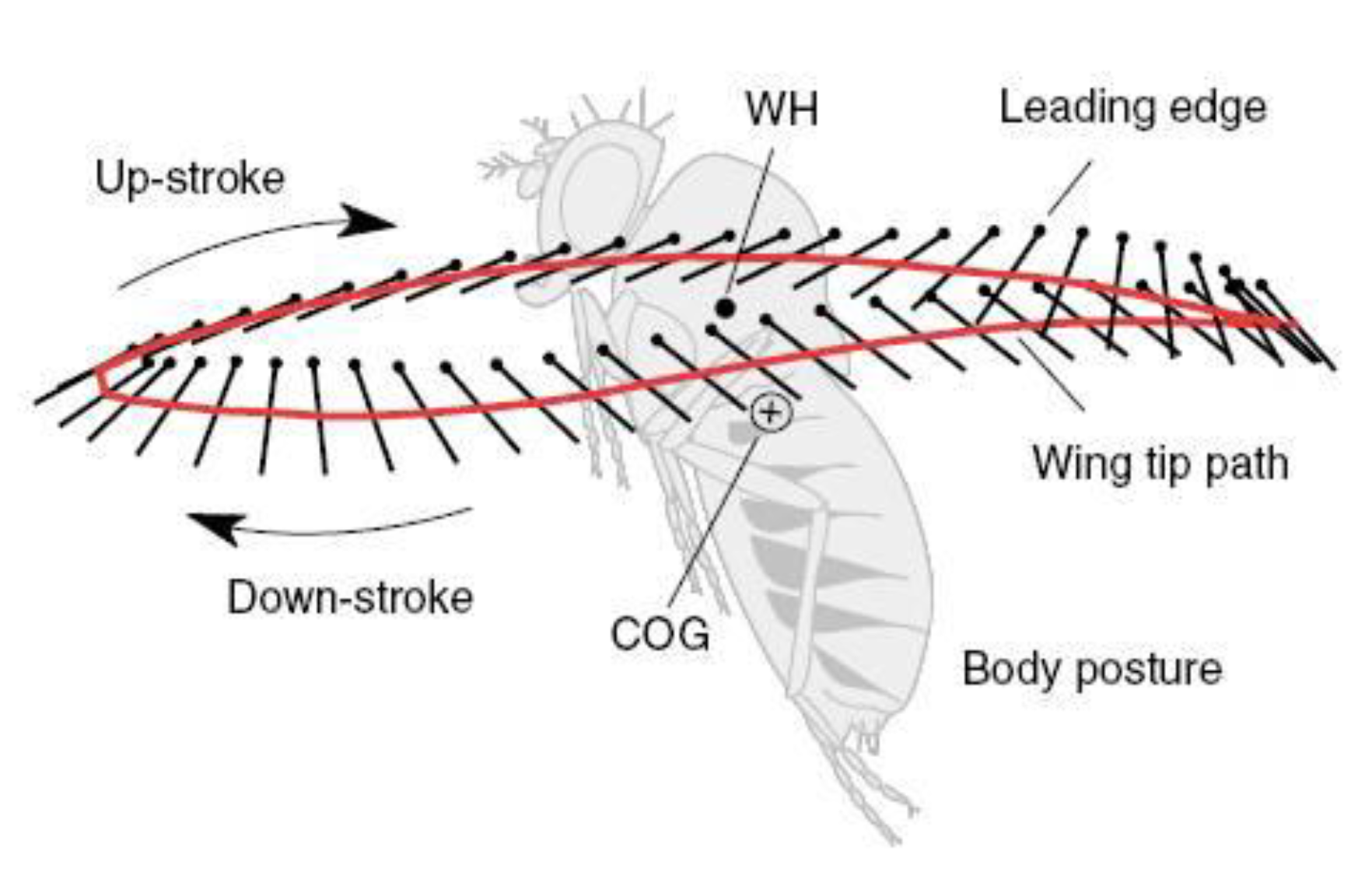 Preprints 168998 g035