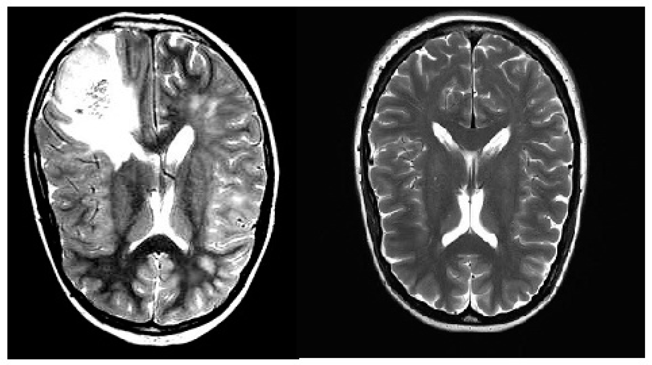 Preprints 145221 g002