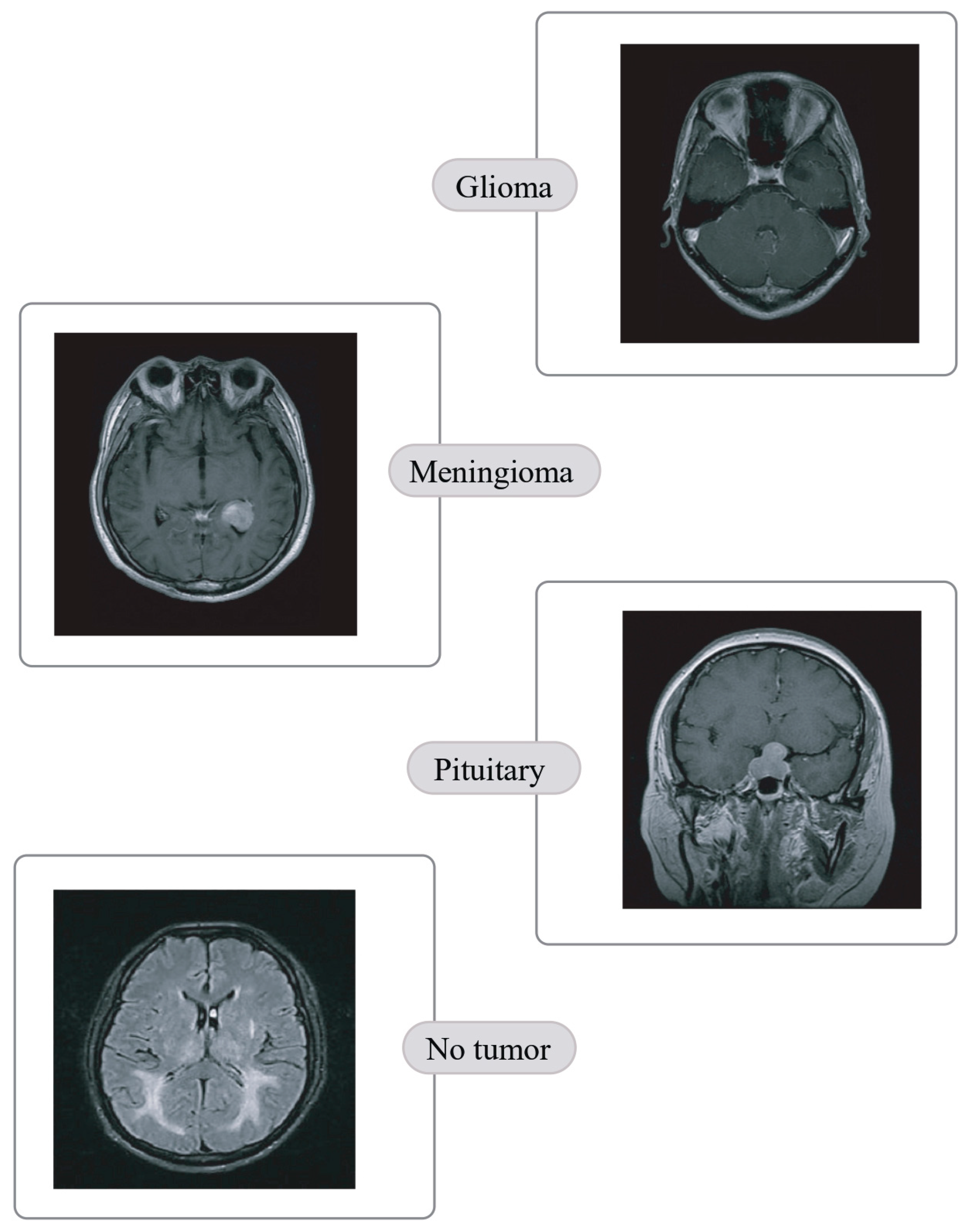 Preprints 145221 g003