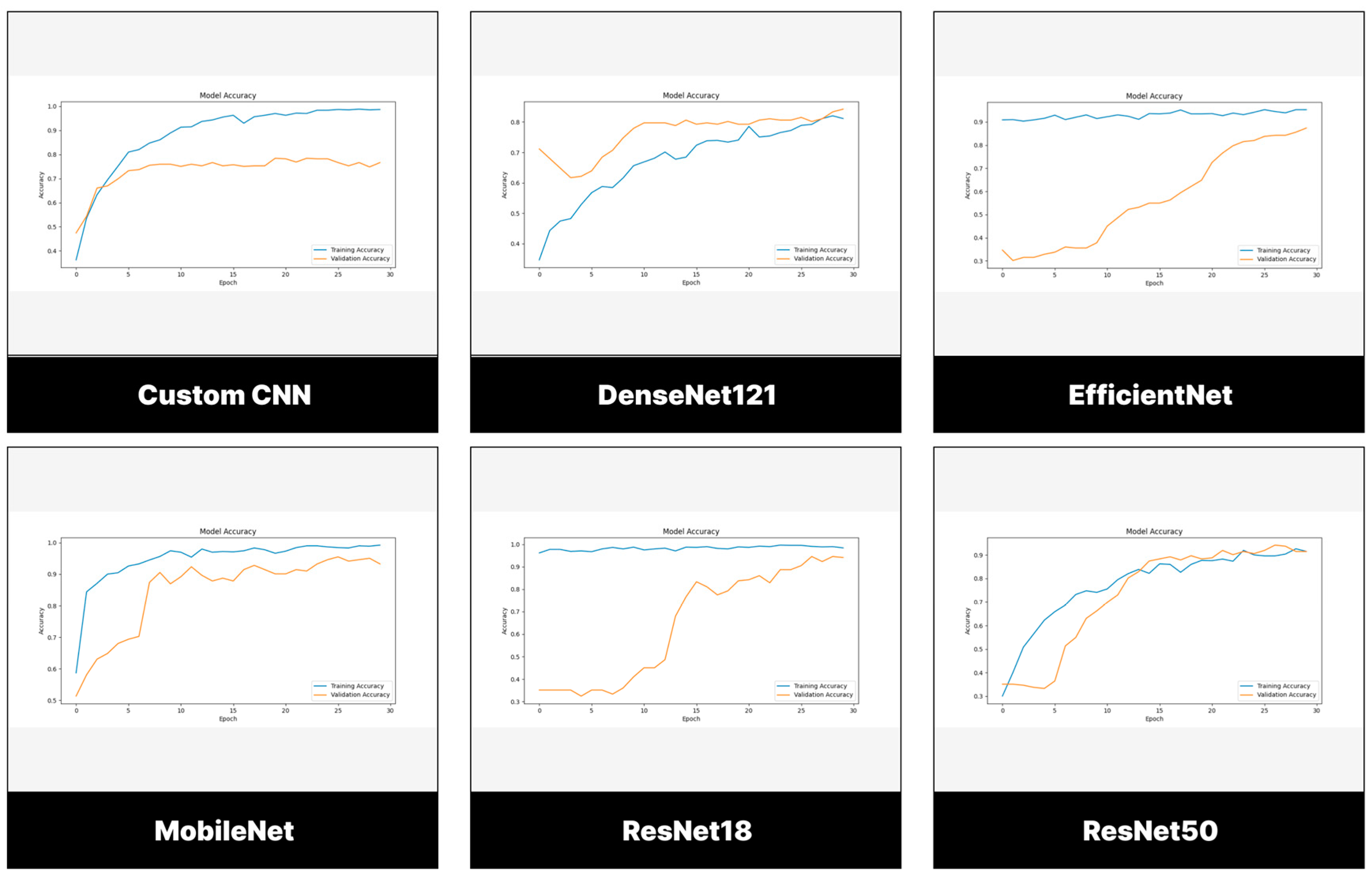 Preprints 145221 g005