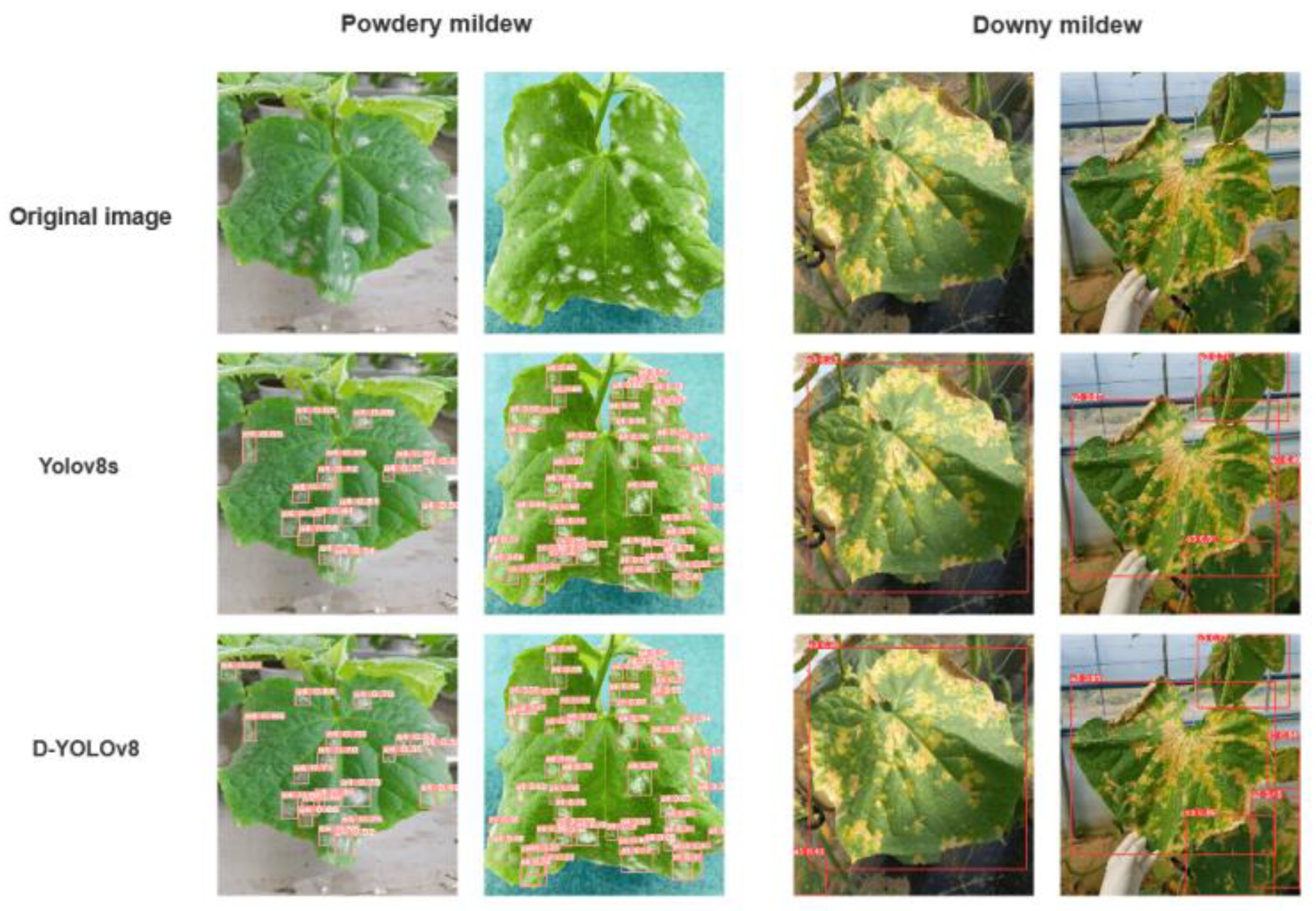 Preprints 101796 g008