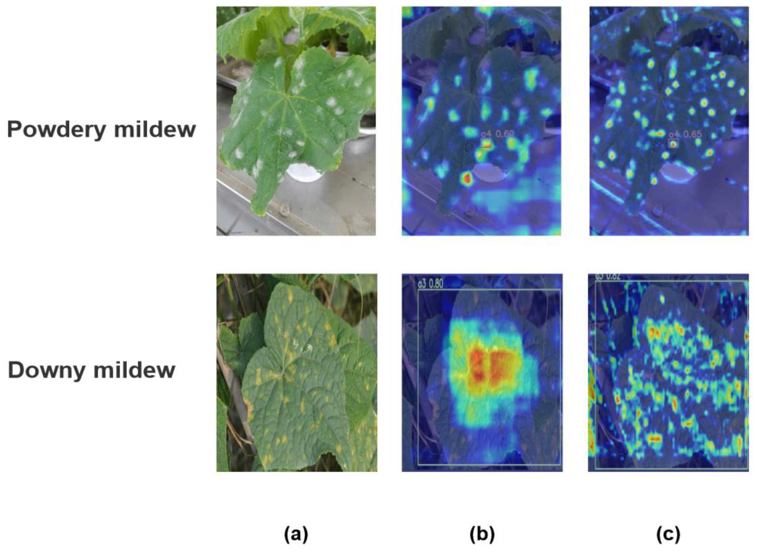 Preprints 101796 g010