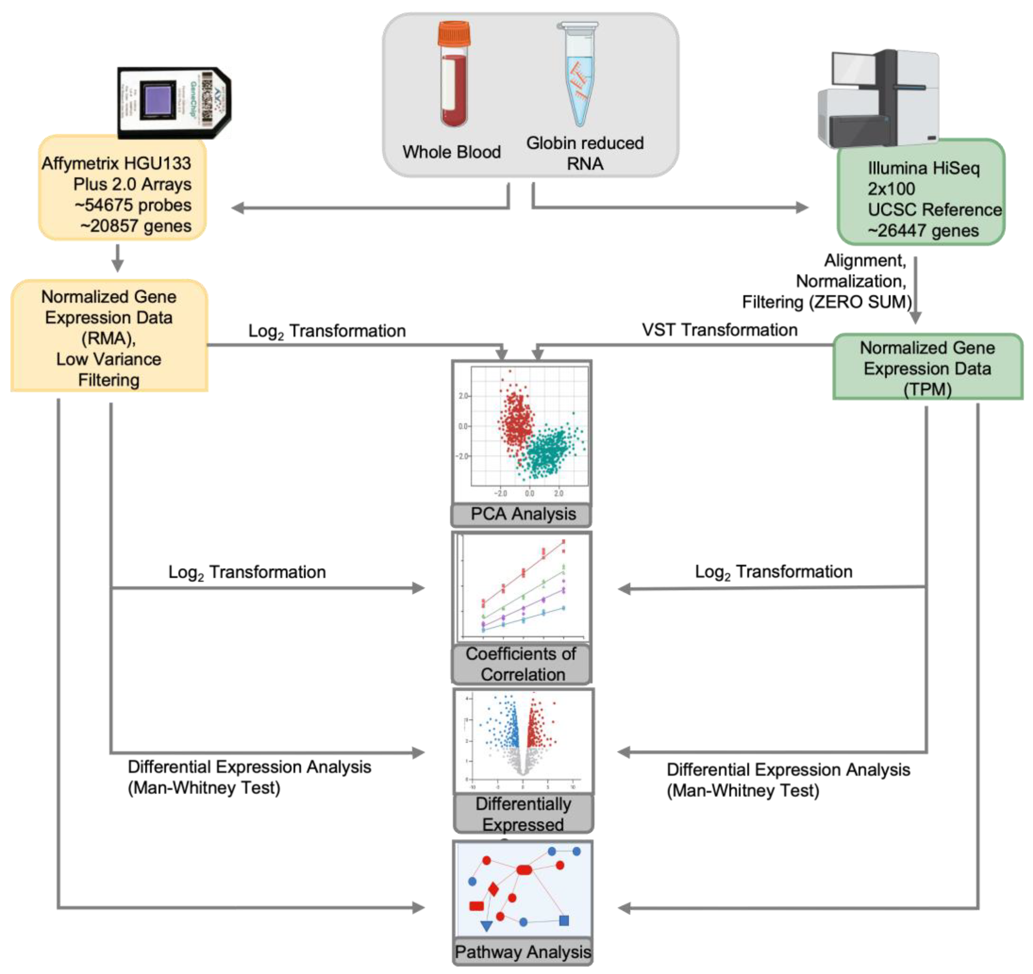 Preprints 158091 g001
