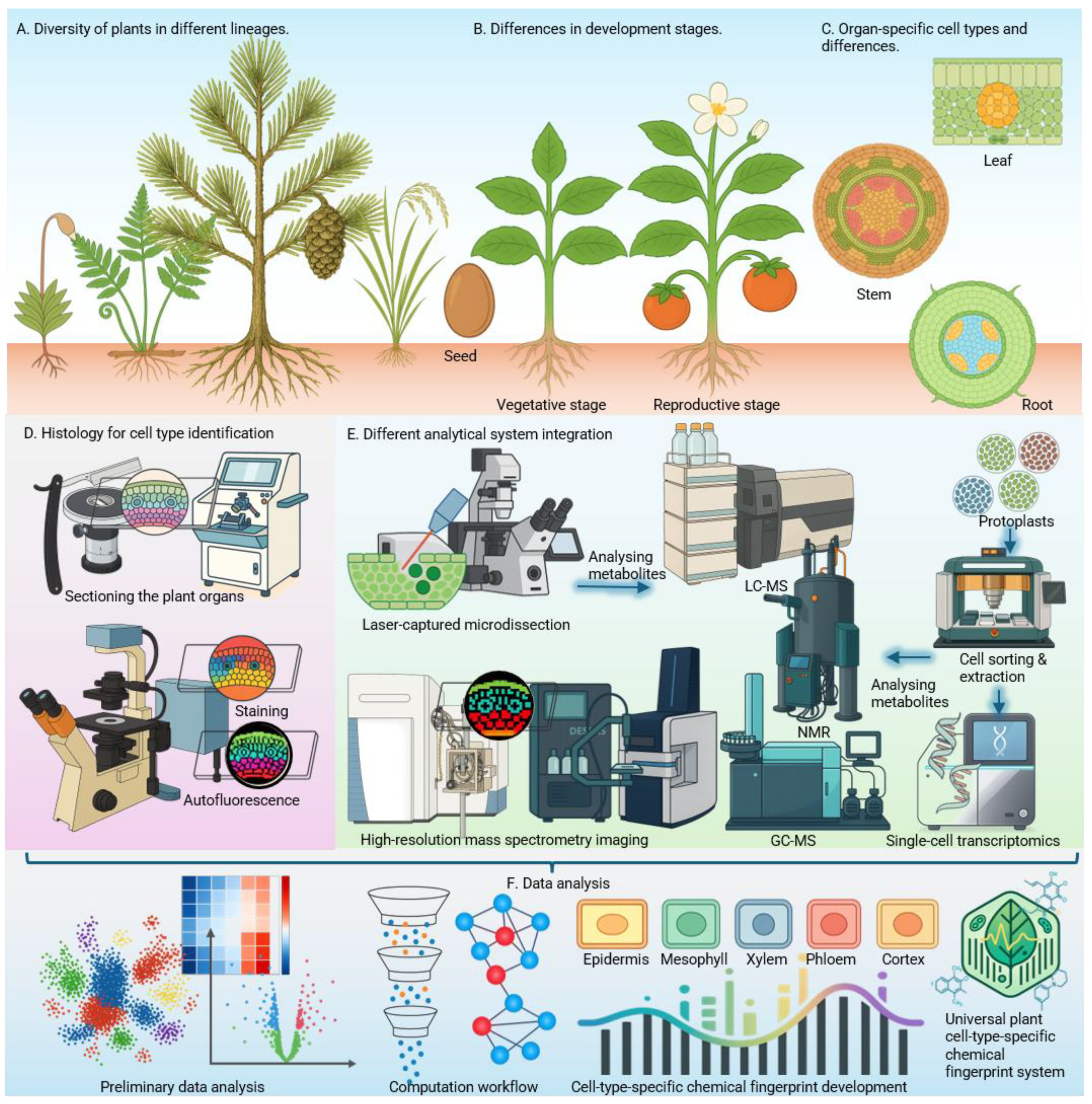 Preprints 176509 g001