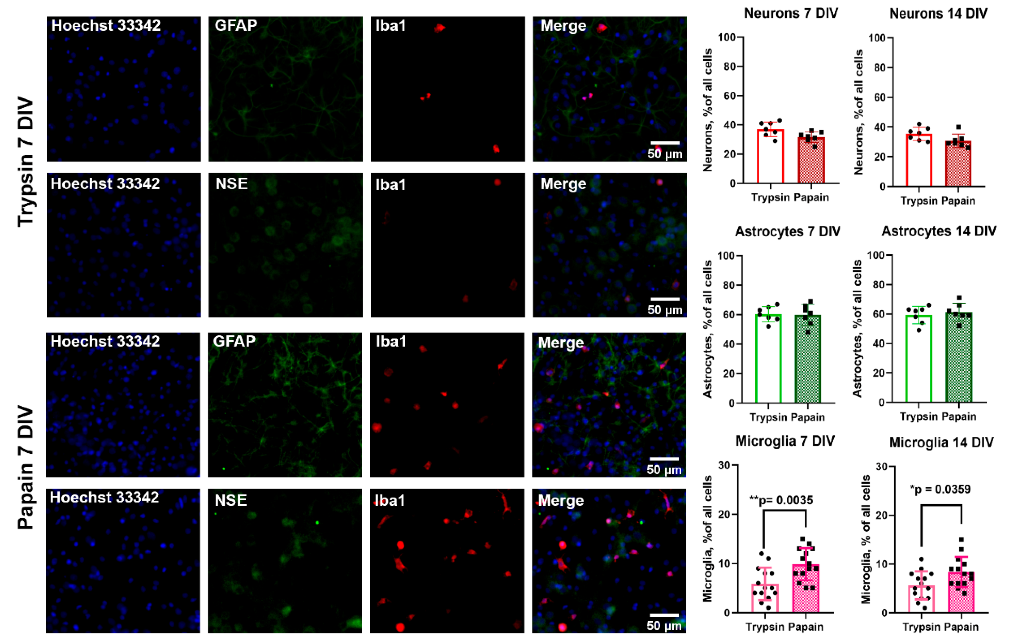 Preprints 140518 g001