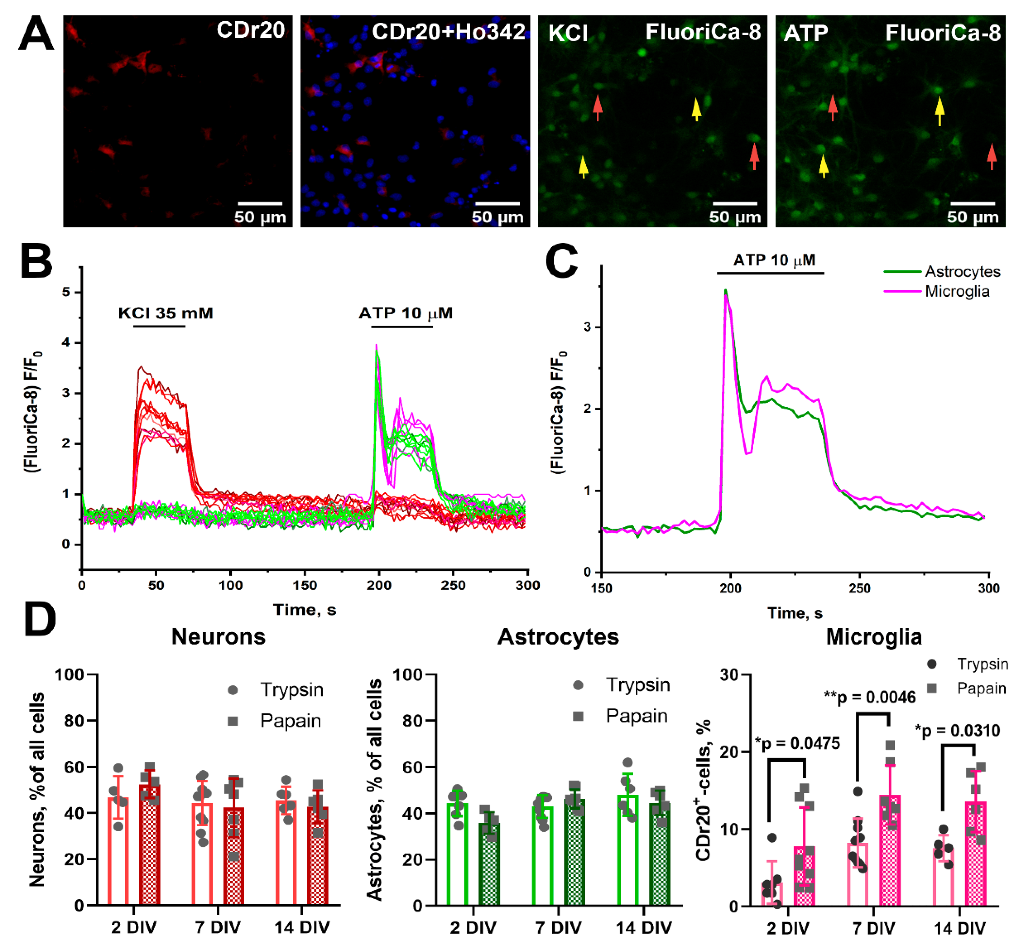 Preprints 140518 g002