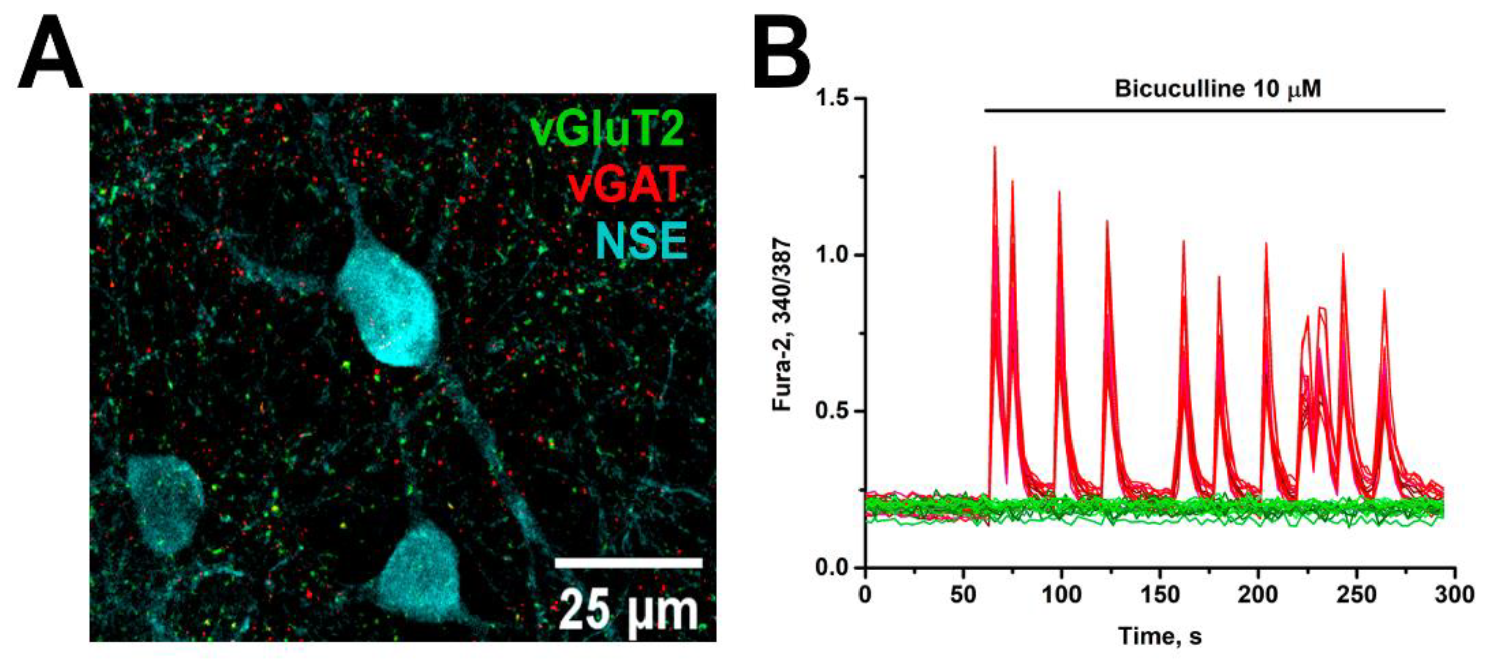 Preprints 140518 g003