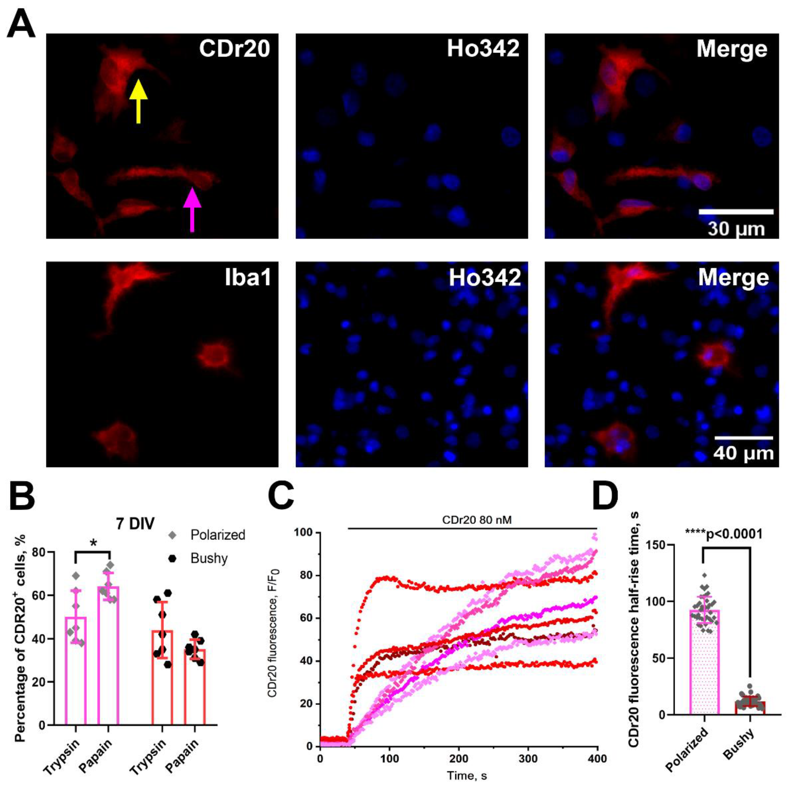 Preprints 140518 g004