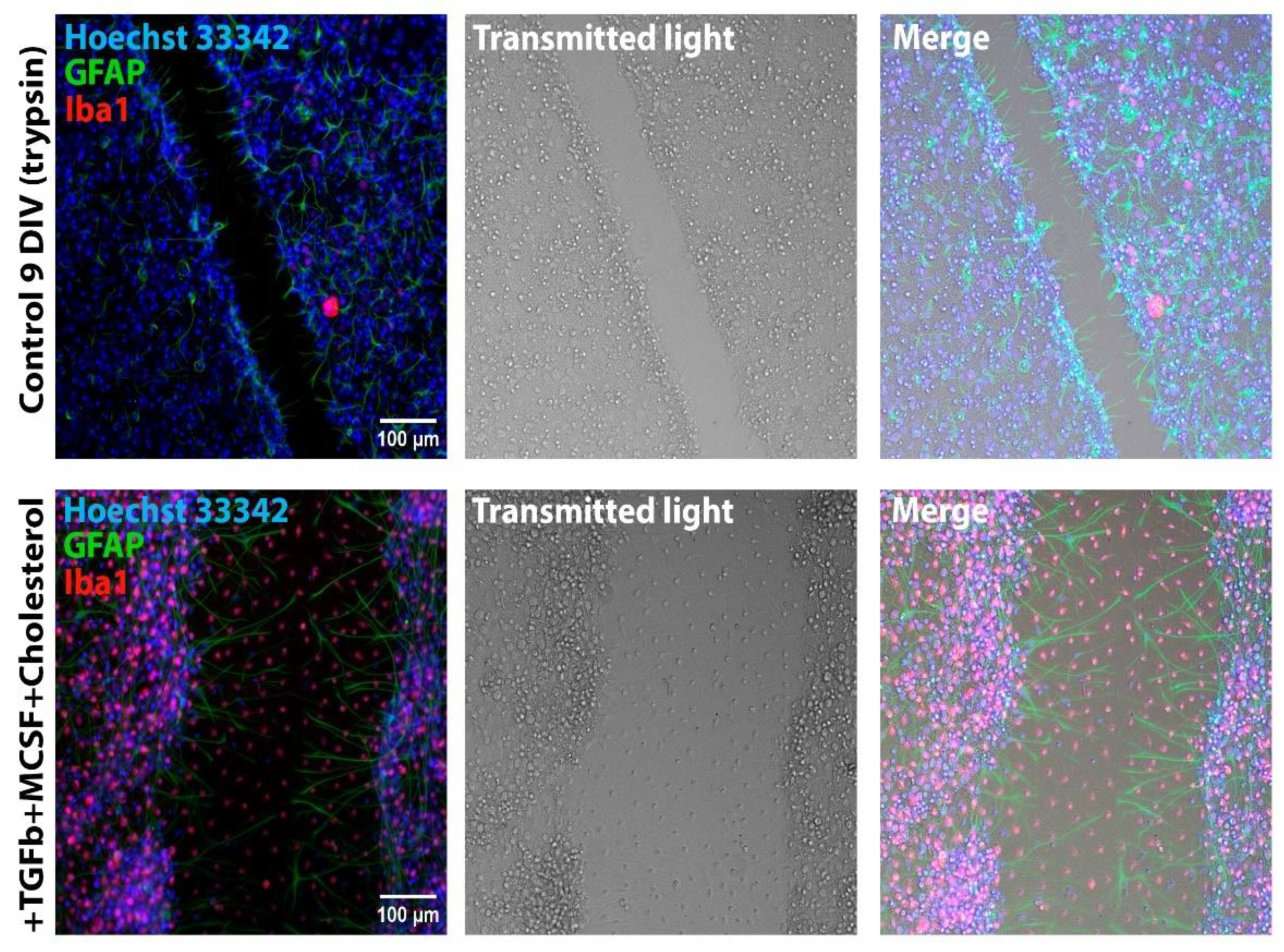 Preprints 140518 g006