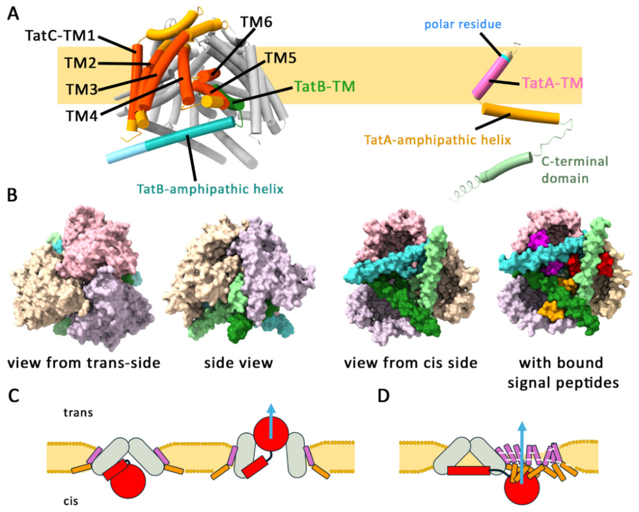 Preprints 207139 g001