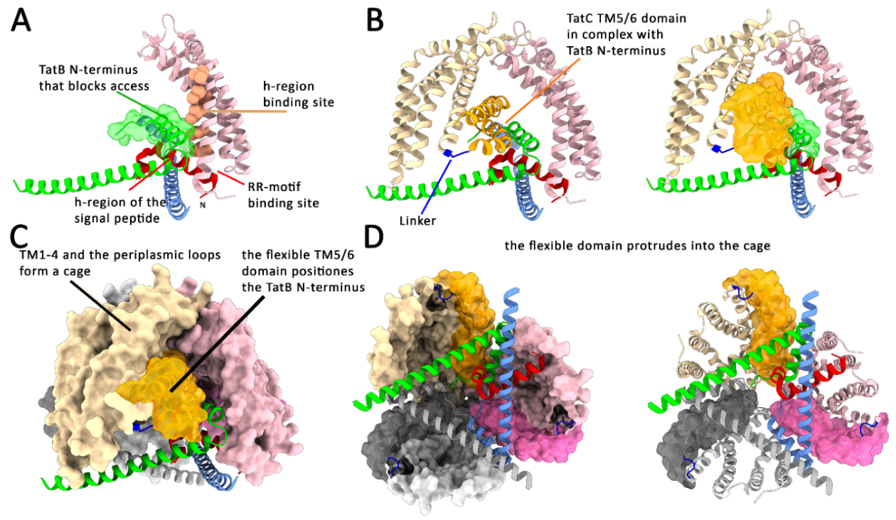 Preprints 207139 g002
