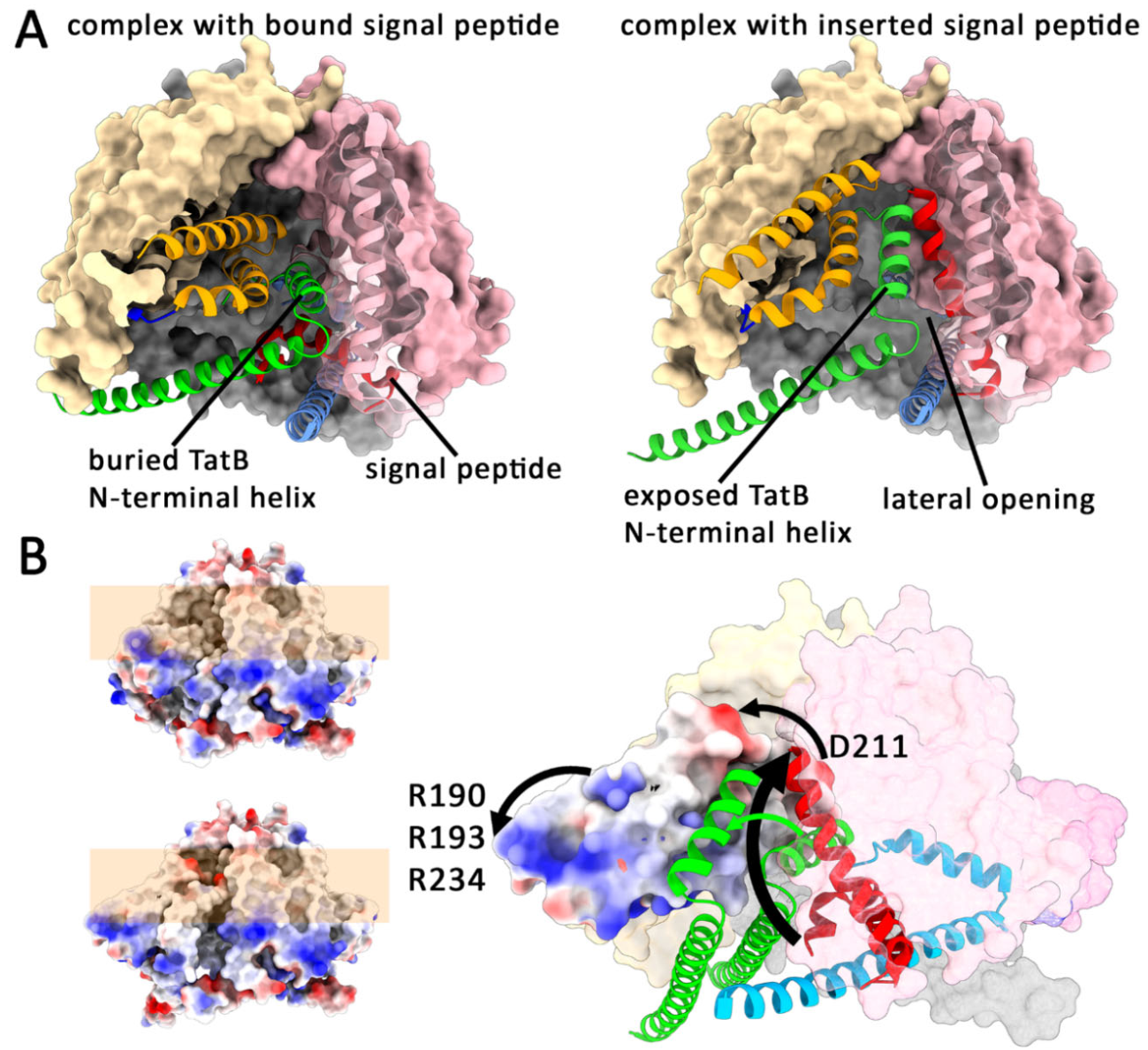 Preprints 207139 g003