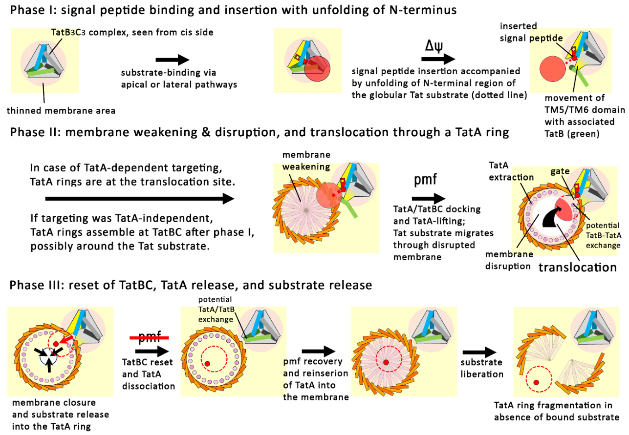 Preprints 207139 g005