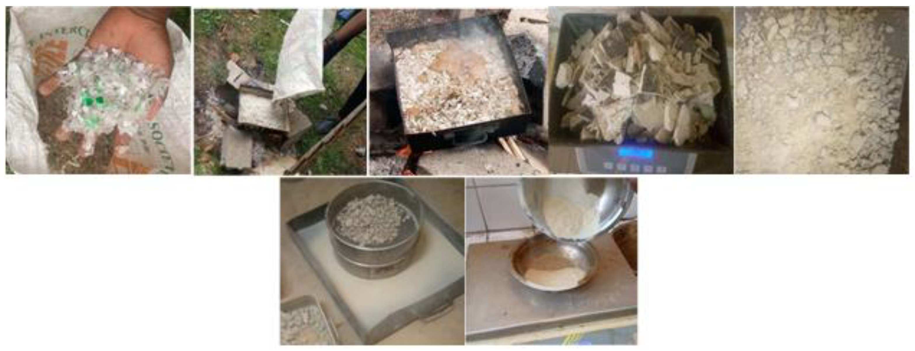 Preprints 154426 g002