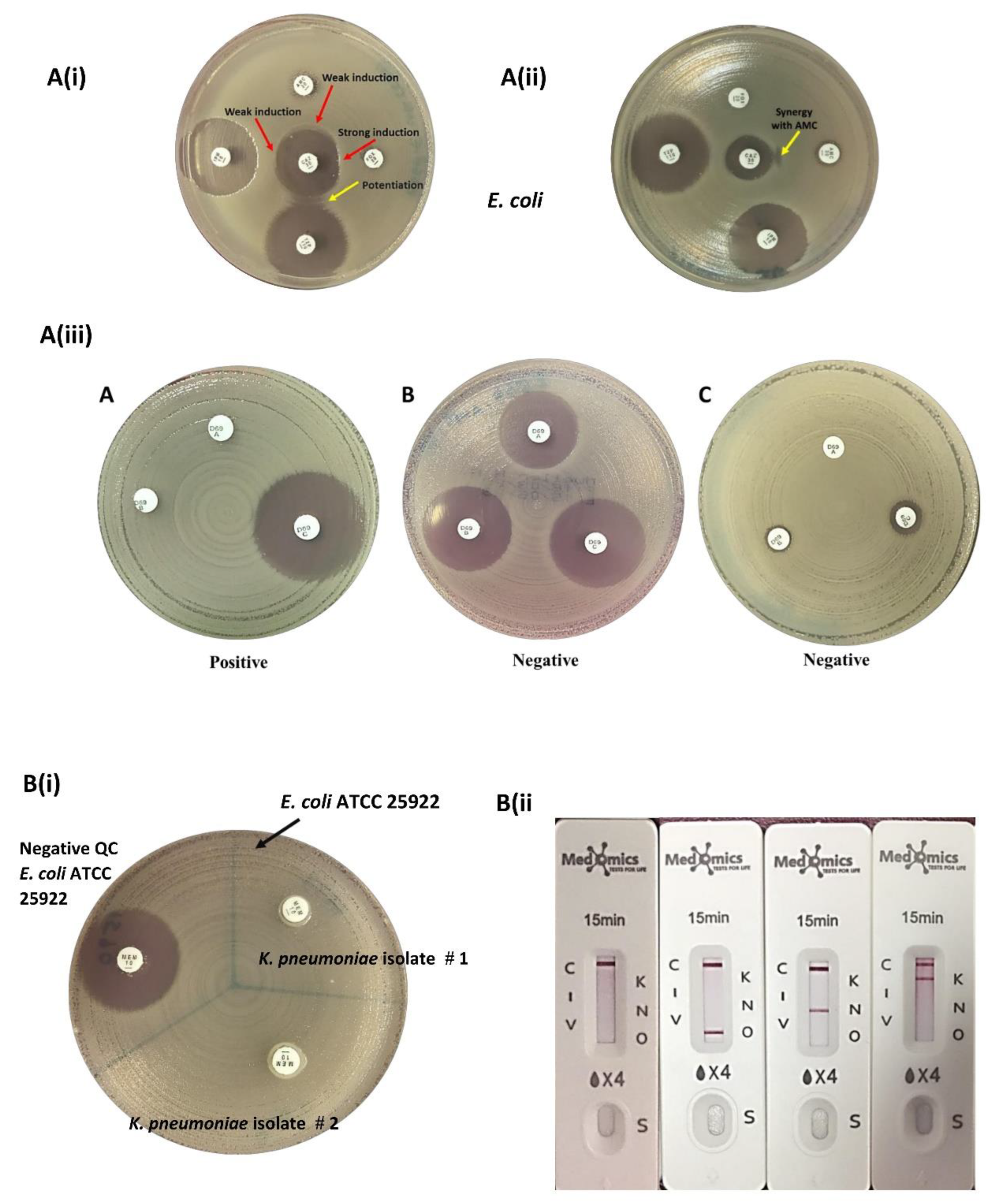 Preprints 147487 g001
