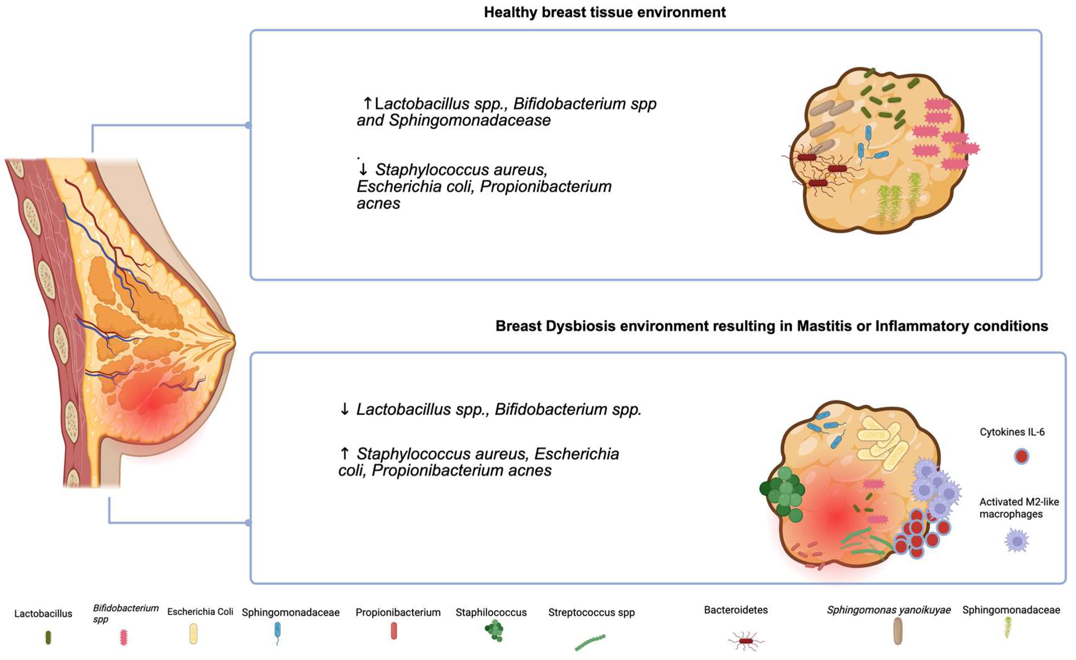 Preprints 163618 g001