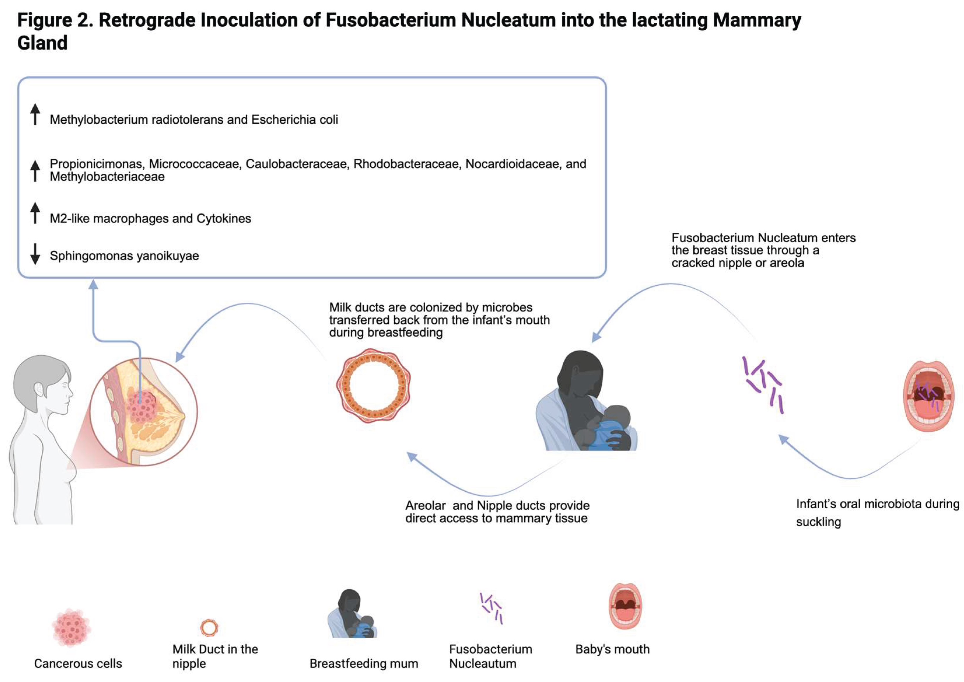 Preprints 163618 g002