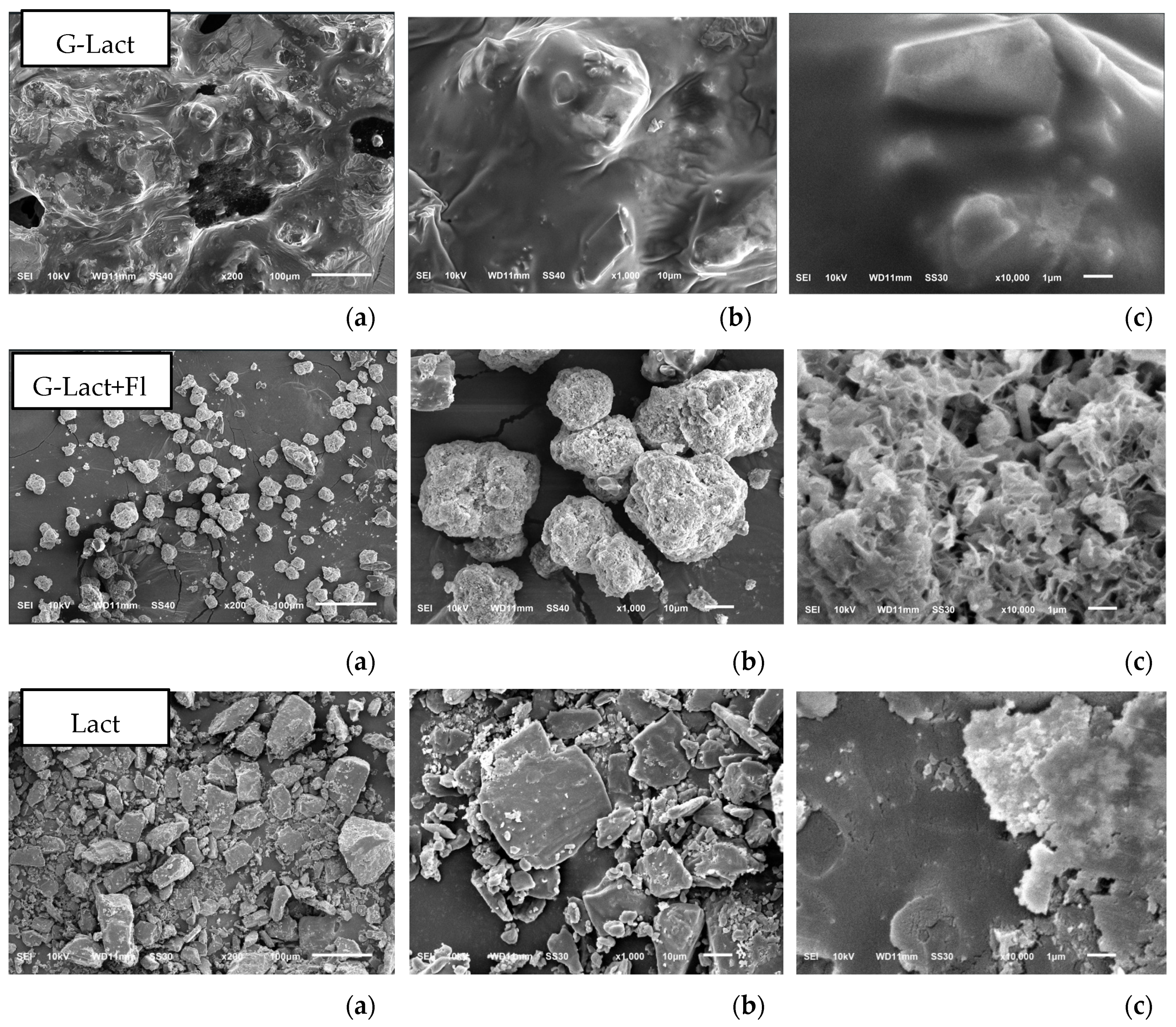 Preprints 143982 g008