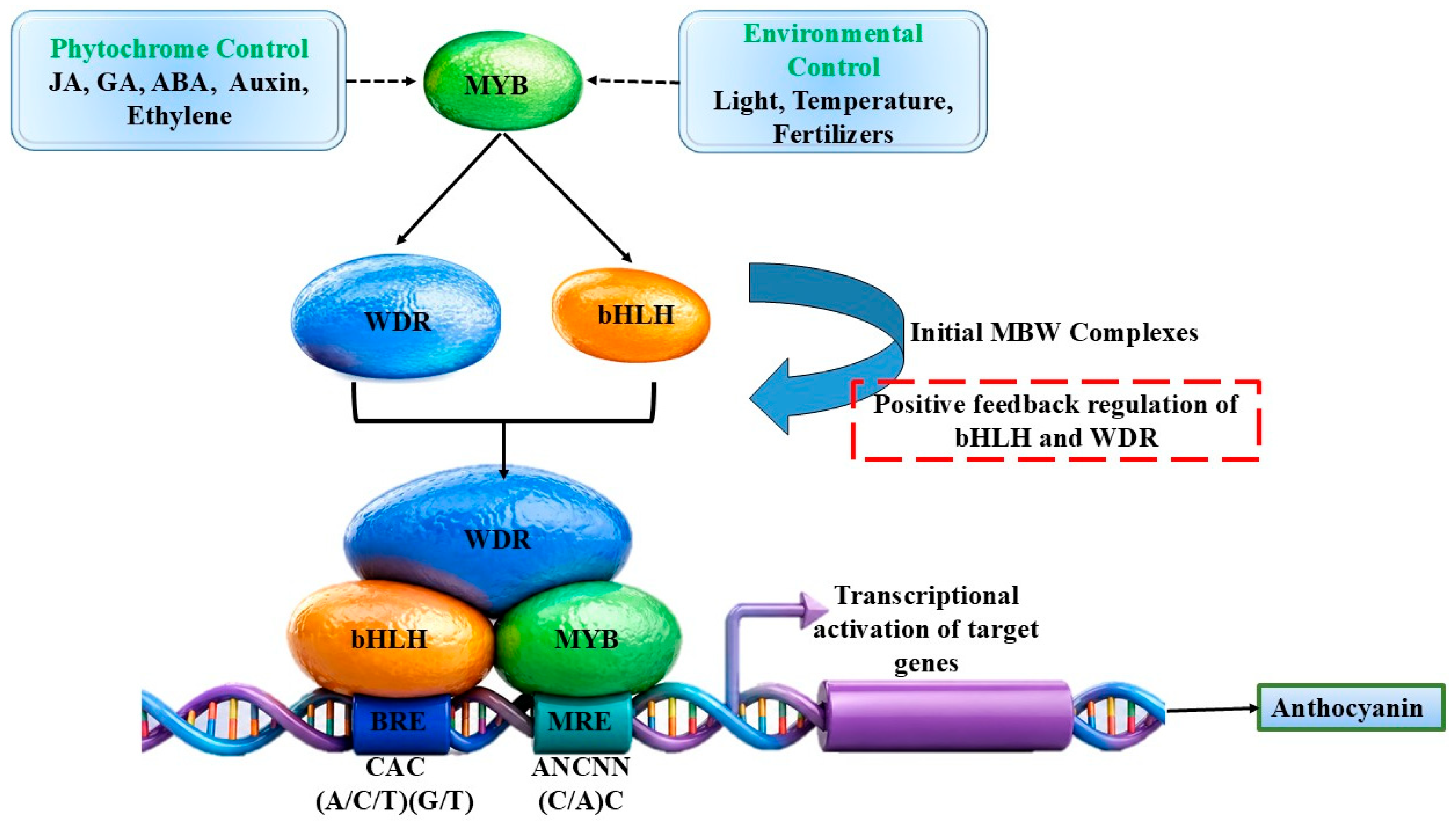 Preprints 228052 g005 Preprints 228052 g005