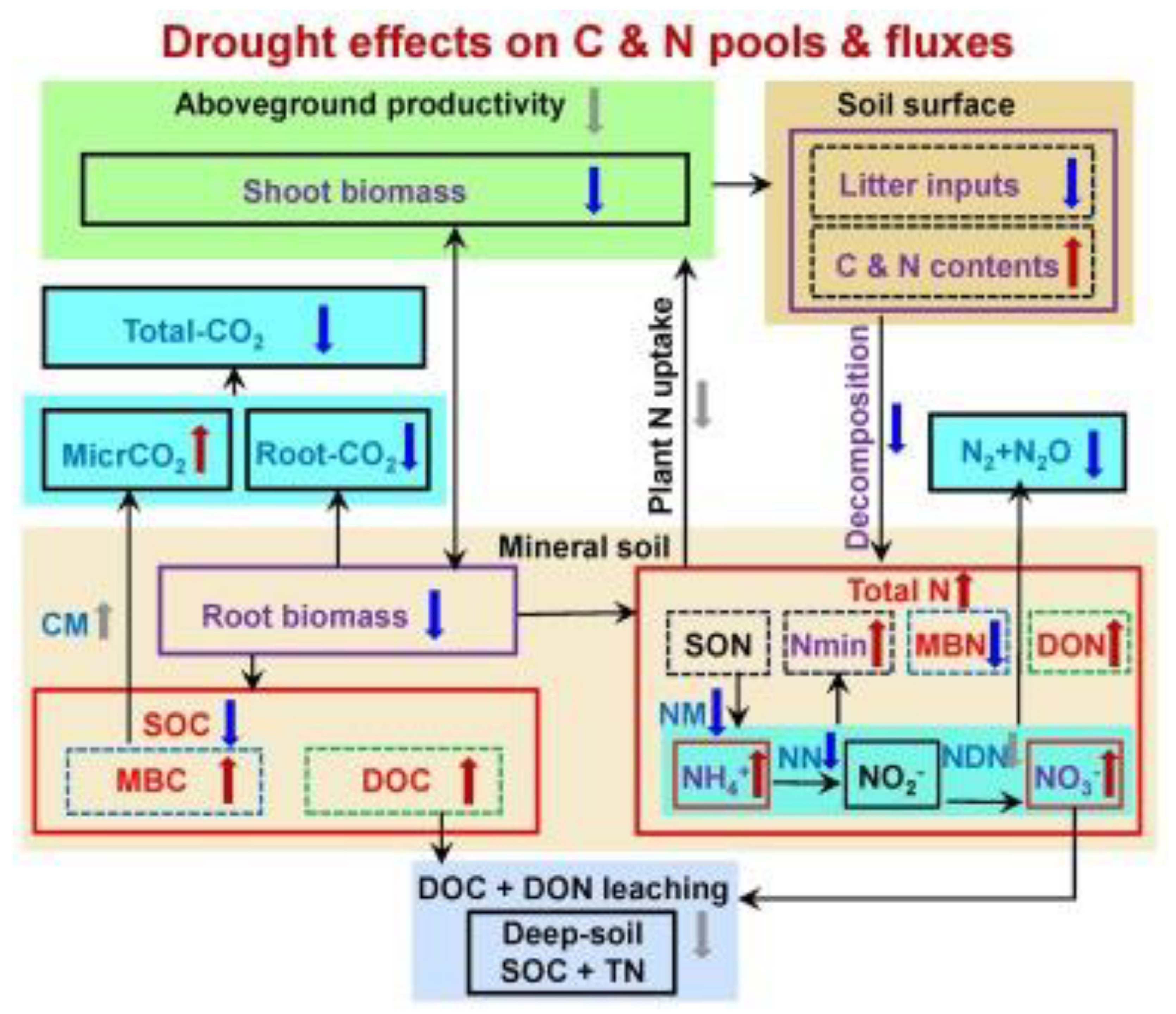Preprints 144155 g001