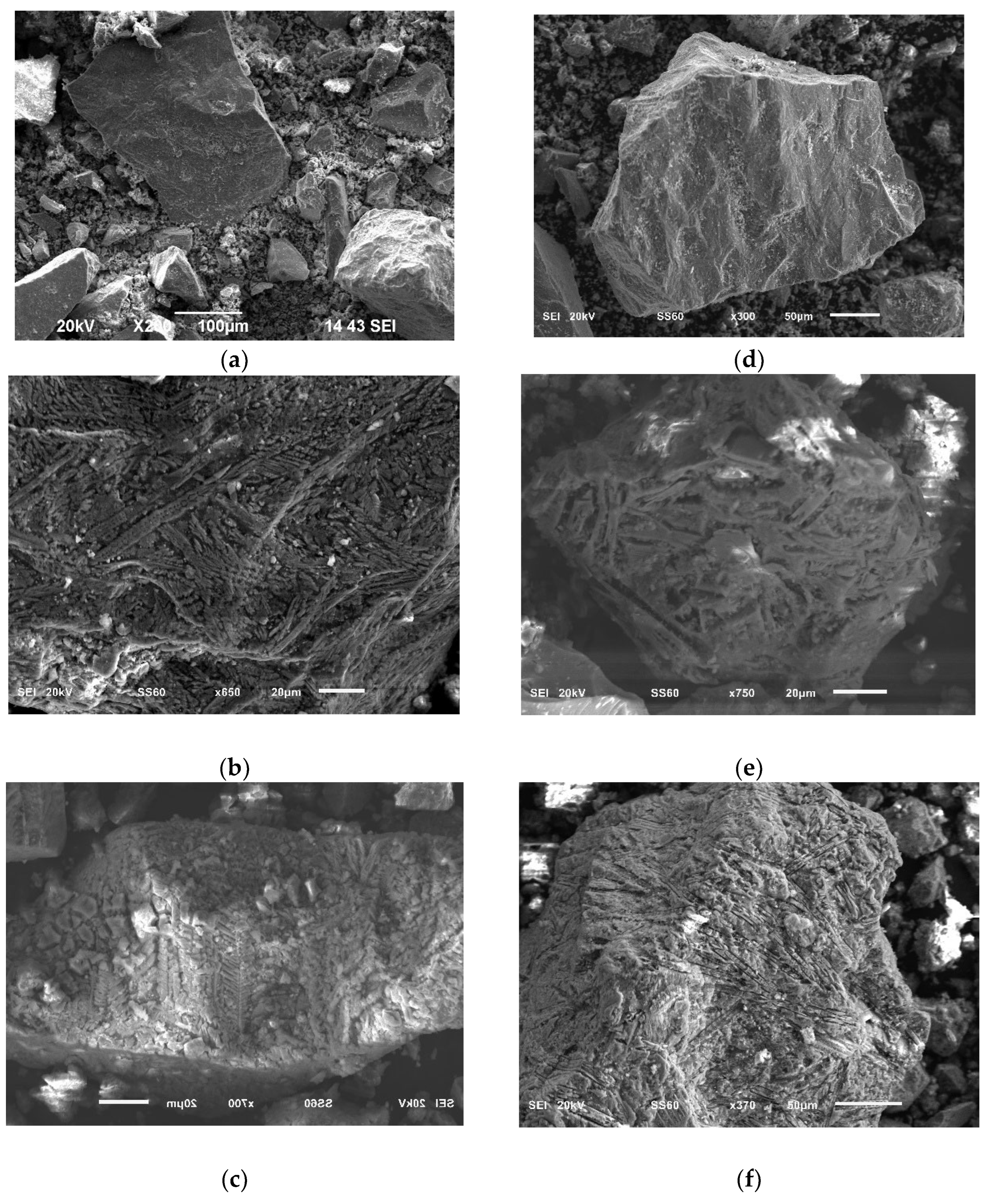 Preprints 185137 g010
