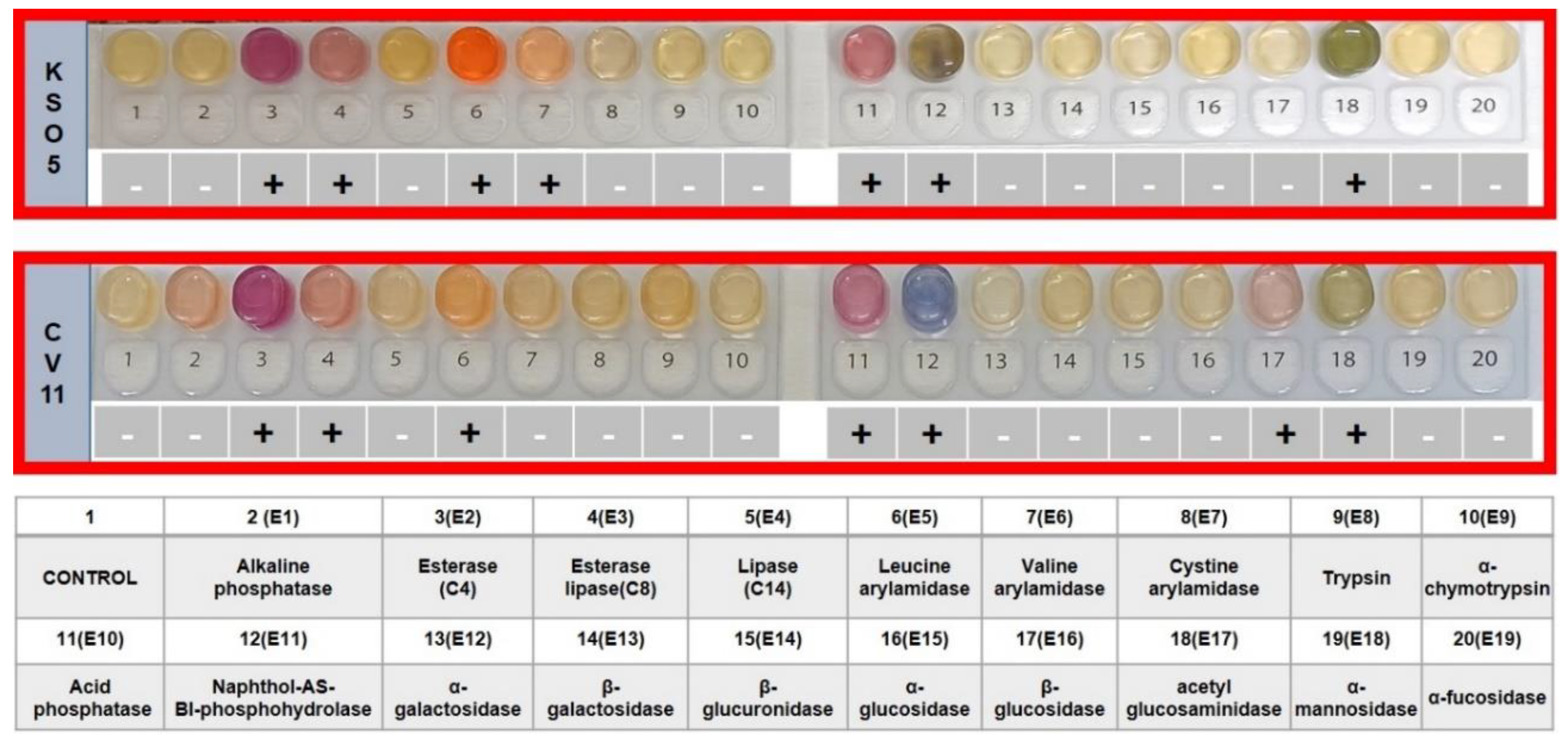 Preprints 202935 g002 Preprints 202935 g002