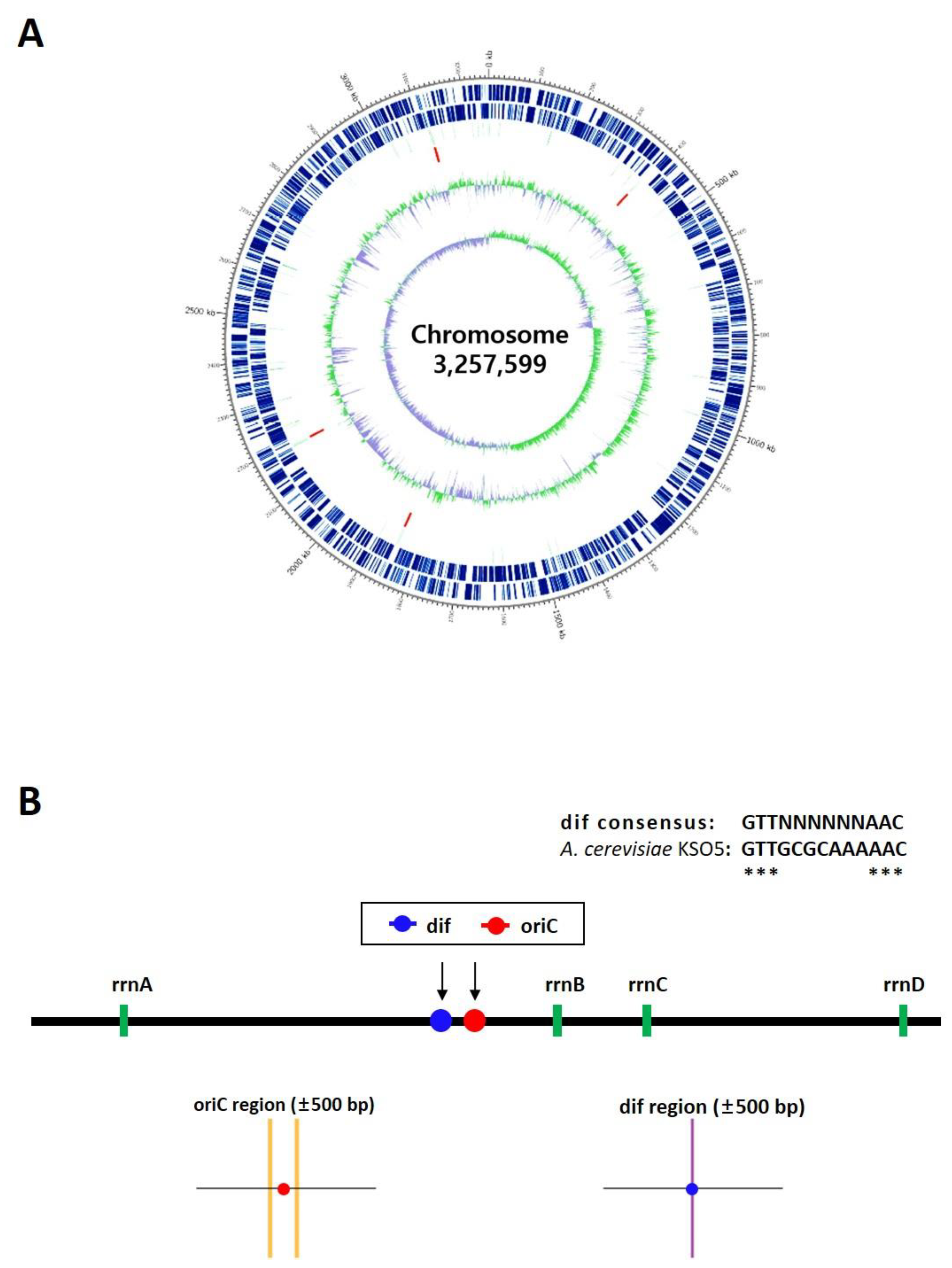 Preprints 202935 g003 Preprints 202935 g003