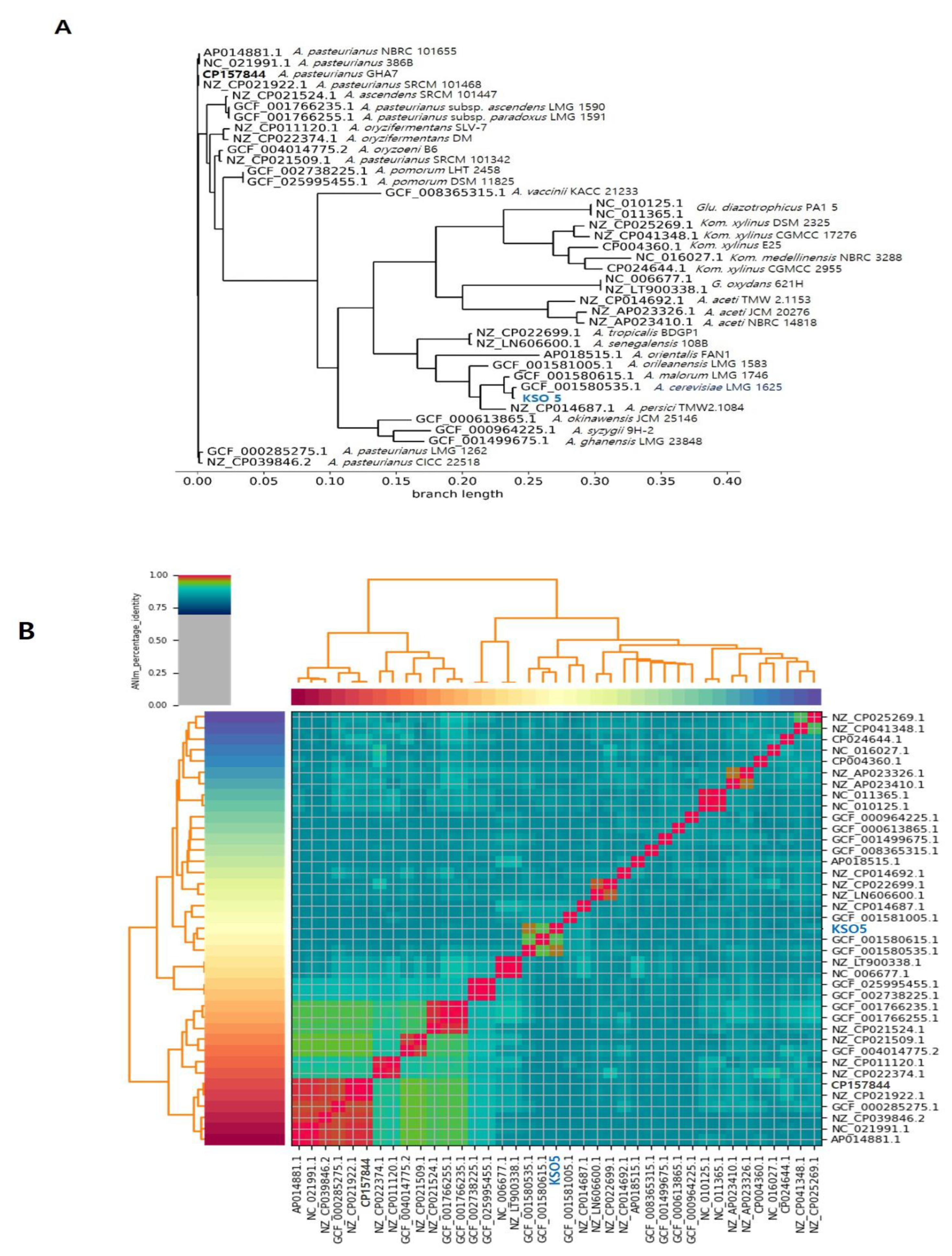 Preprints 202935 g005 Preprints 202935 g005