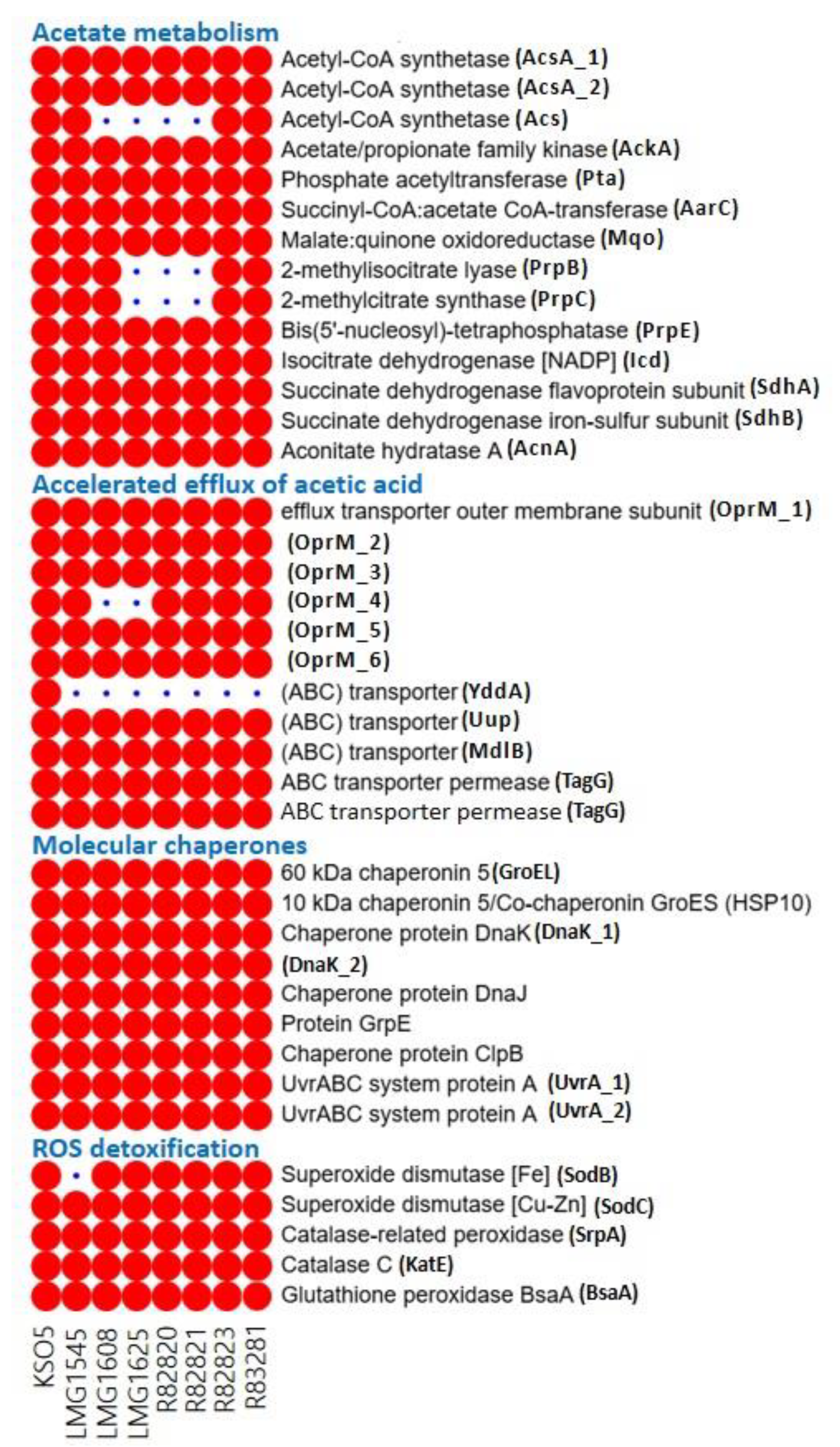 Preprints 202935 g008 Preprints 202935 g008