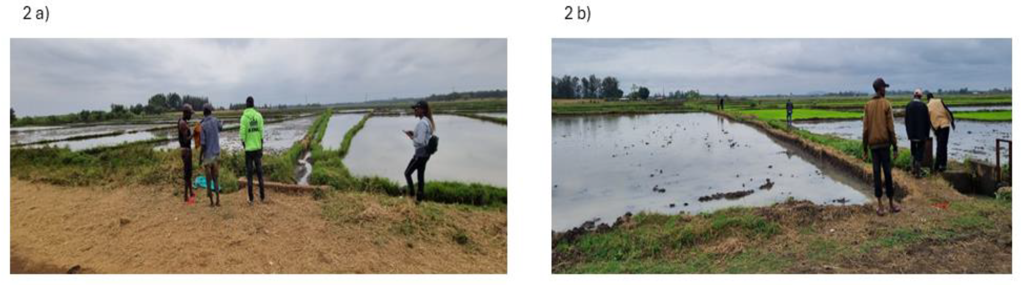 Preprints 168894 g002