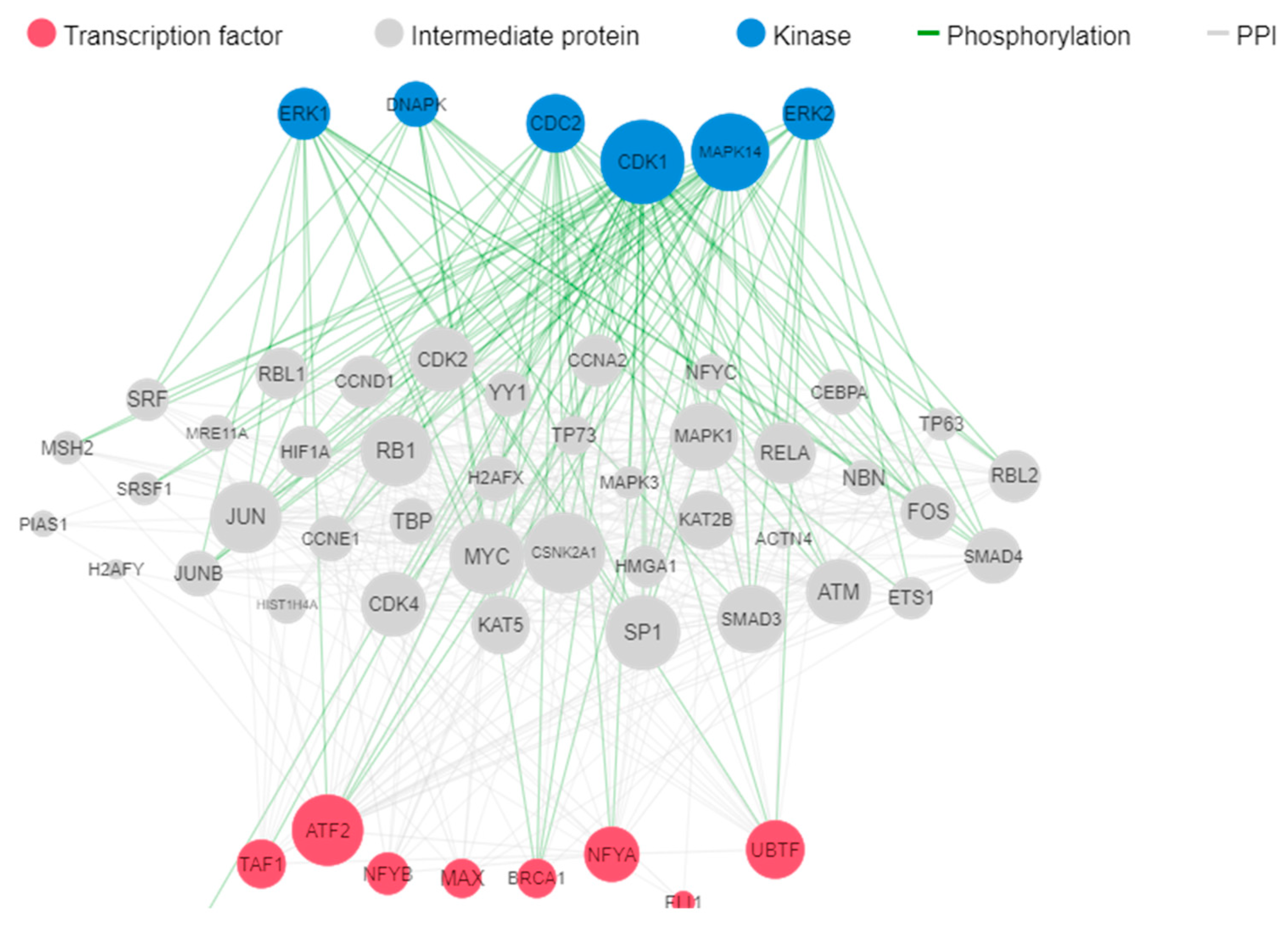 Preprints 85184 g003