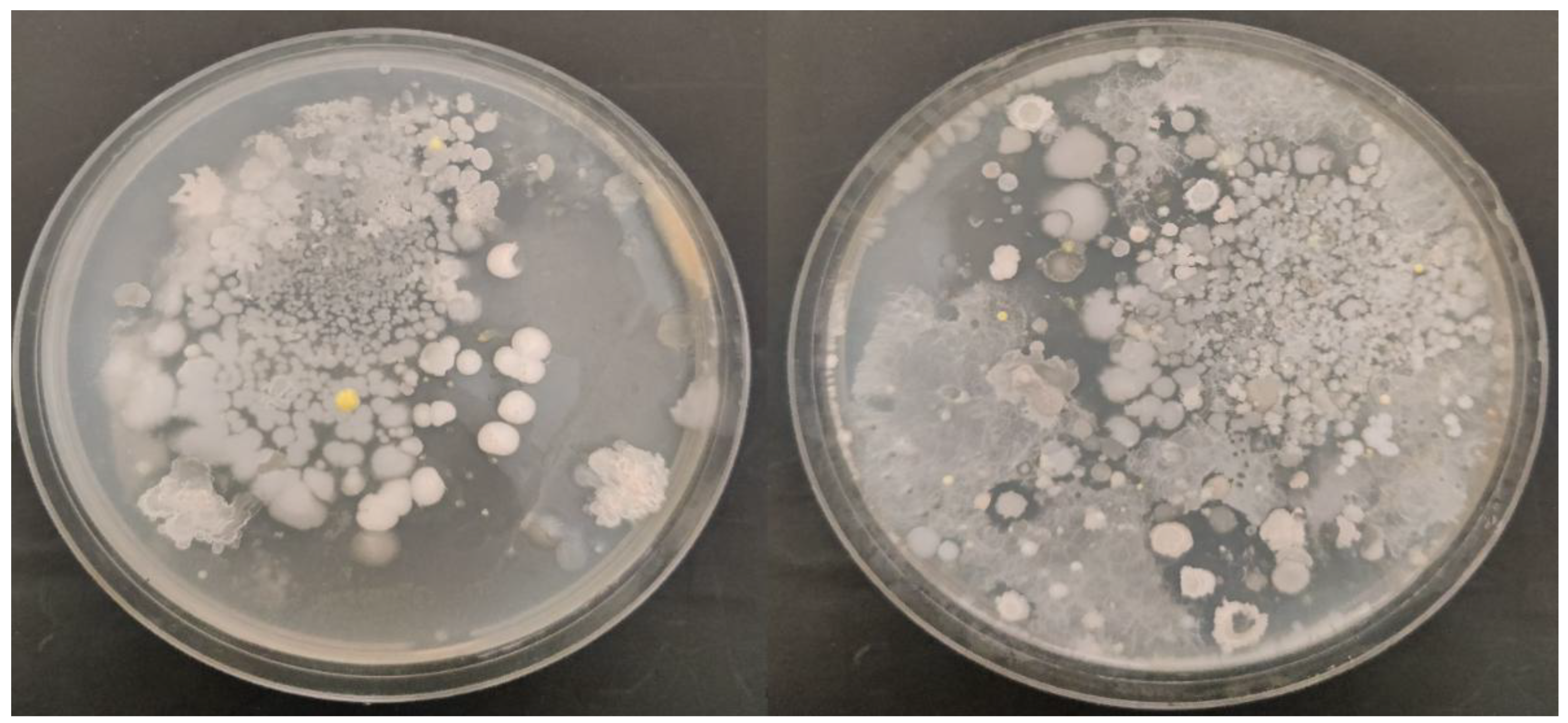 Preprints 170892 g001